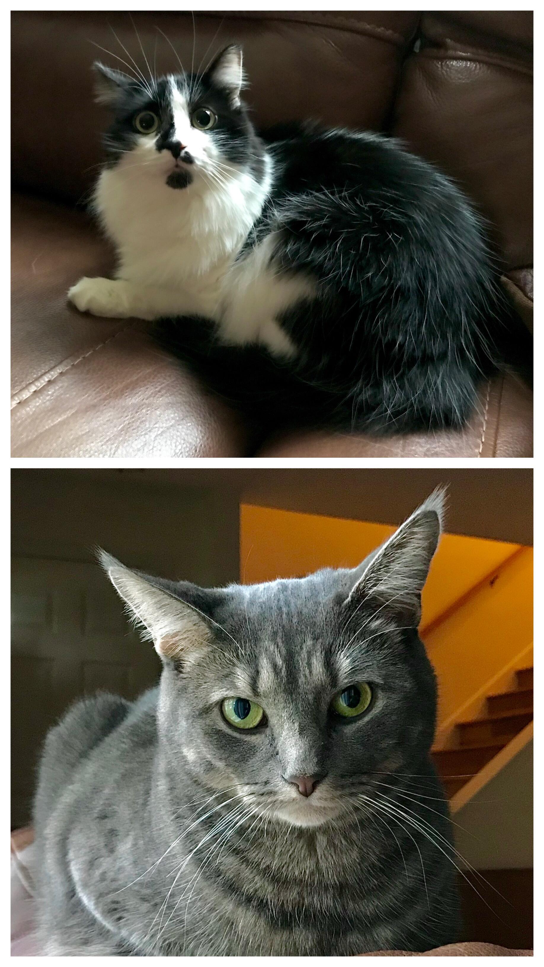 Так и живем...