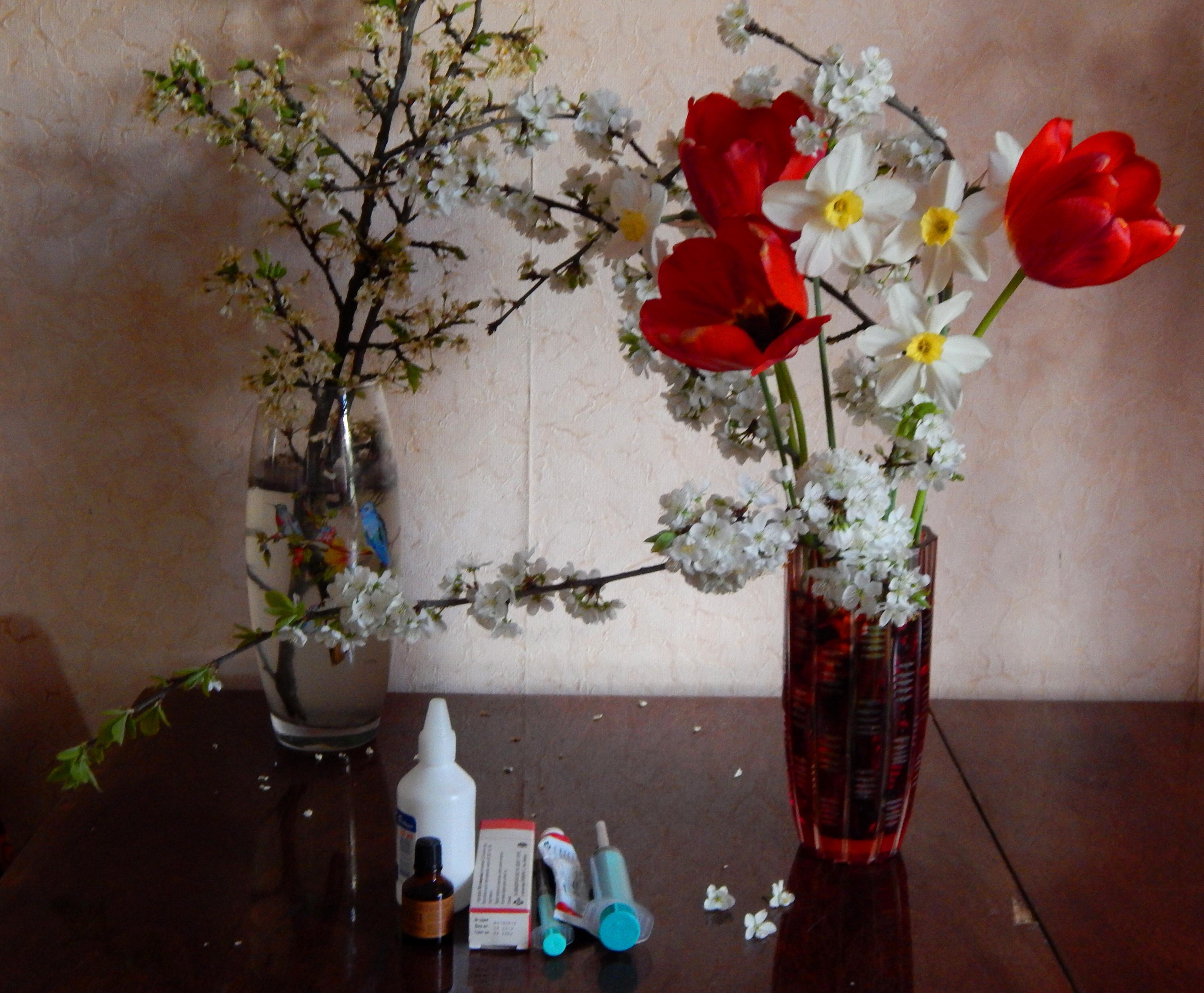 прости меня, ЧИБА