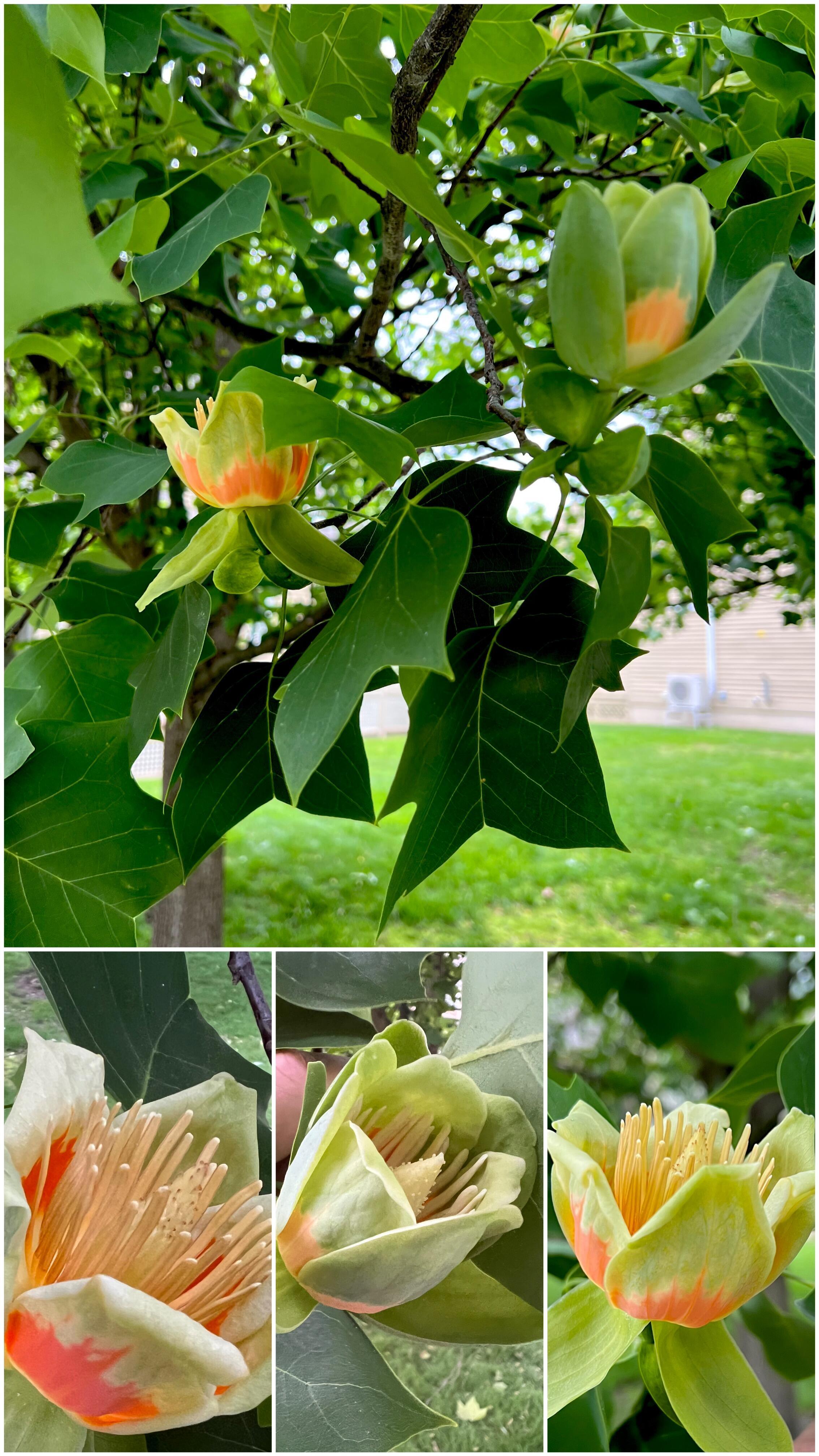 Налево за углом