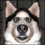 Непонятные перемены