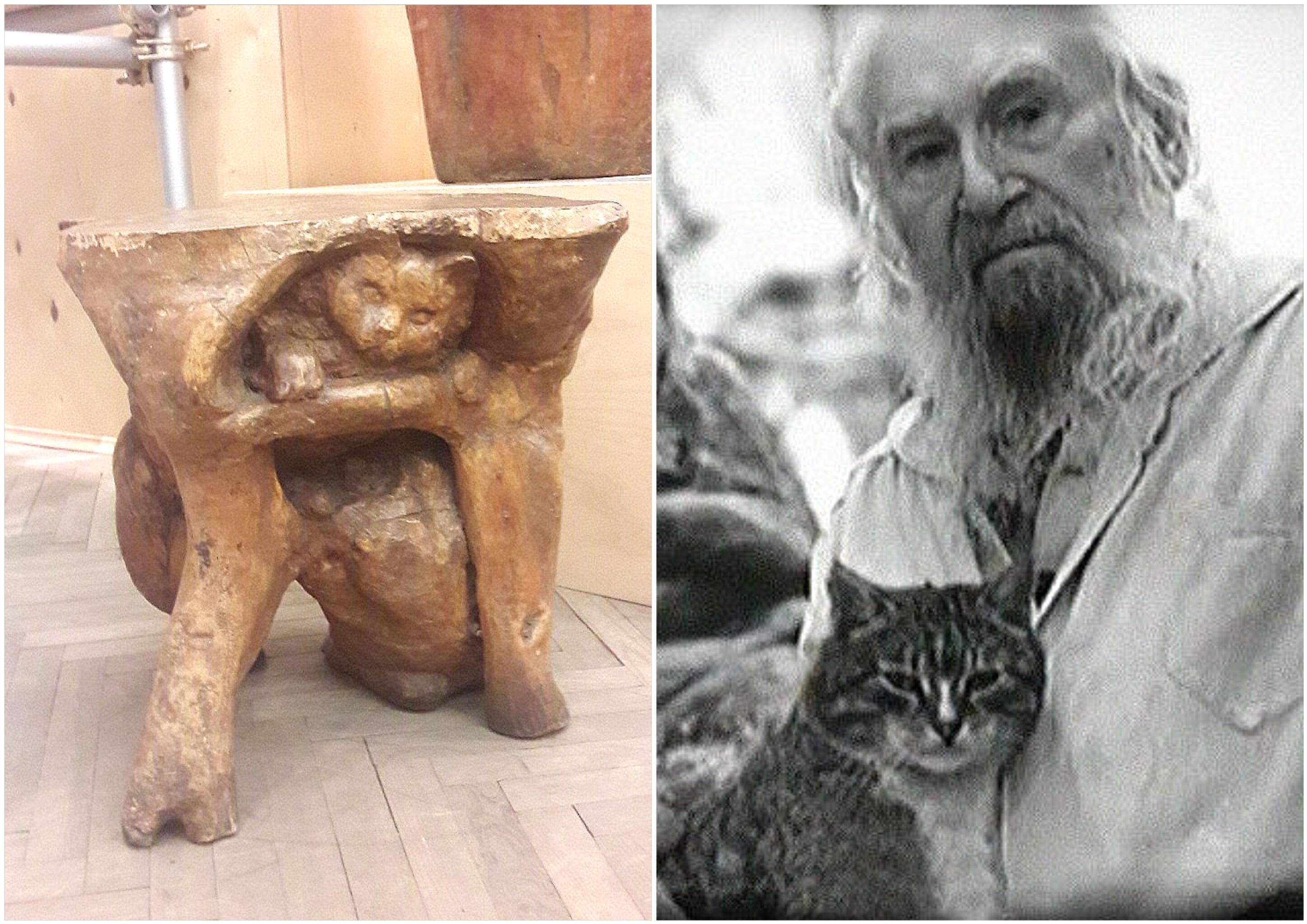 Котики продолжают править миром