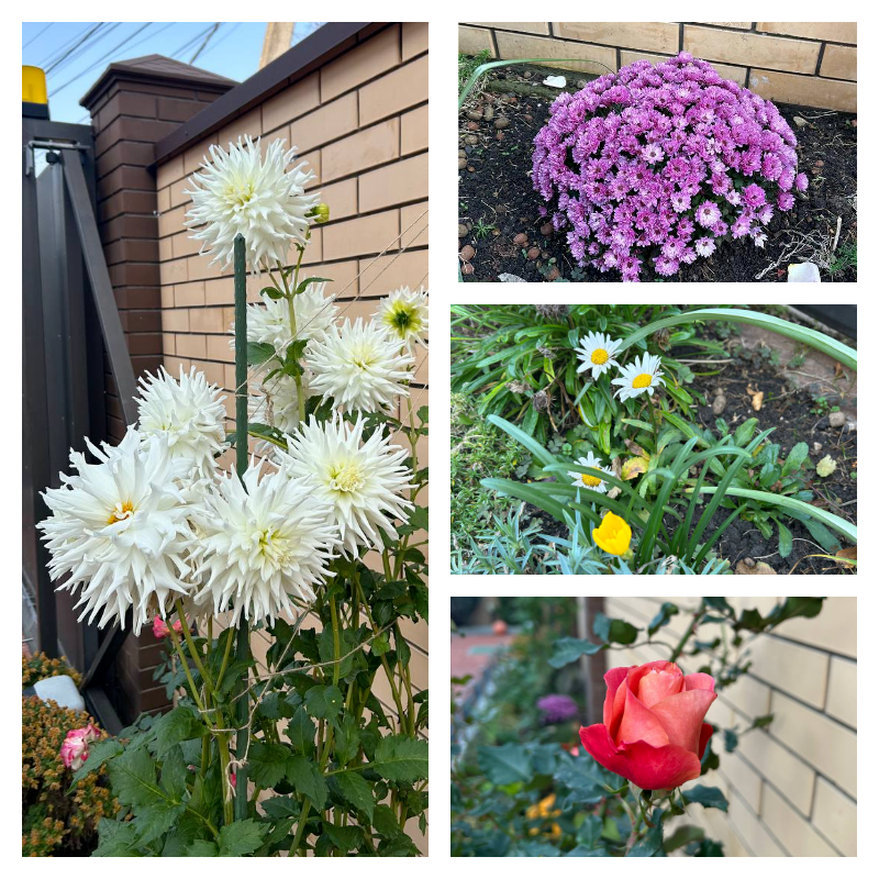 #ноябрьпочтизима