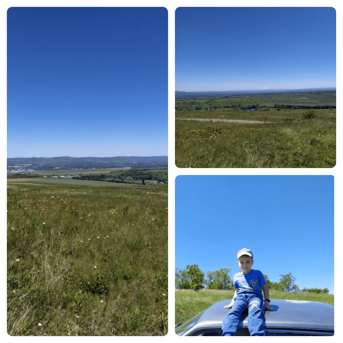 Там они растут