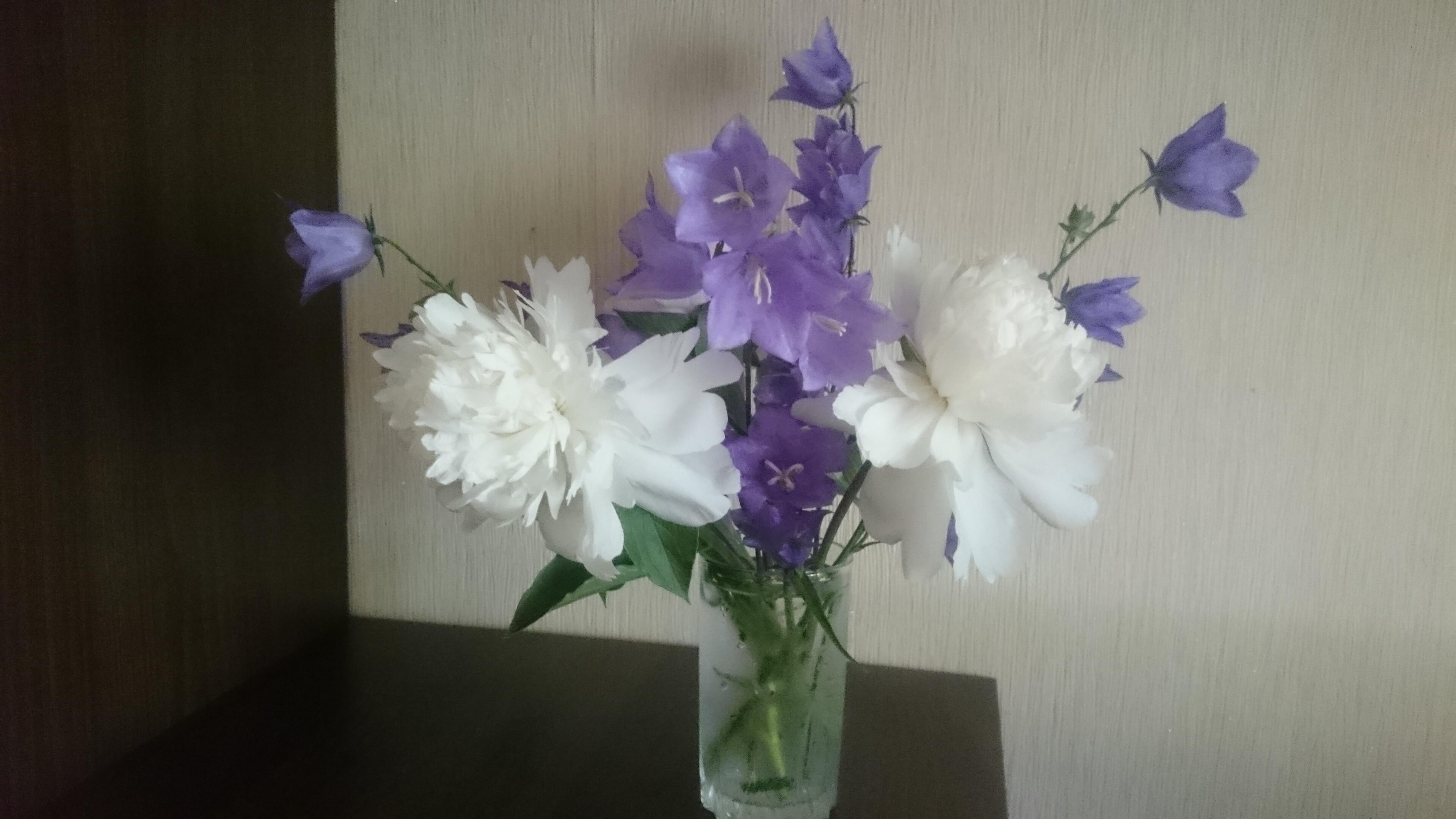 Пионами пишет июнь