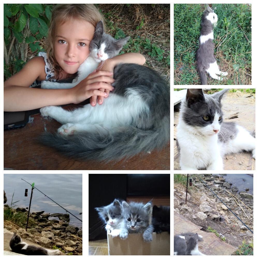 Доктор Кот на рыбалке