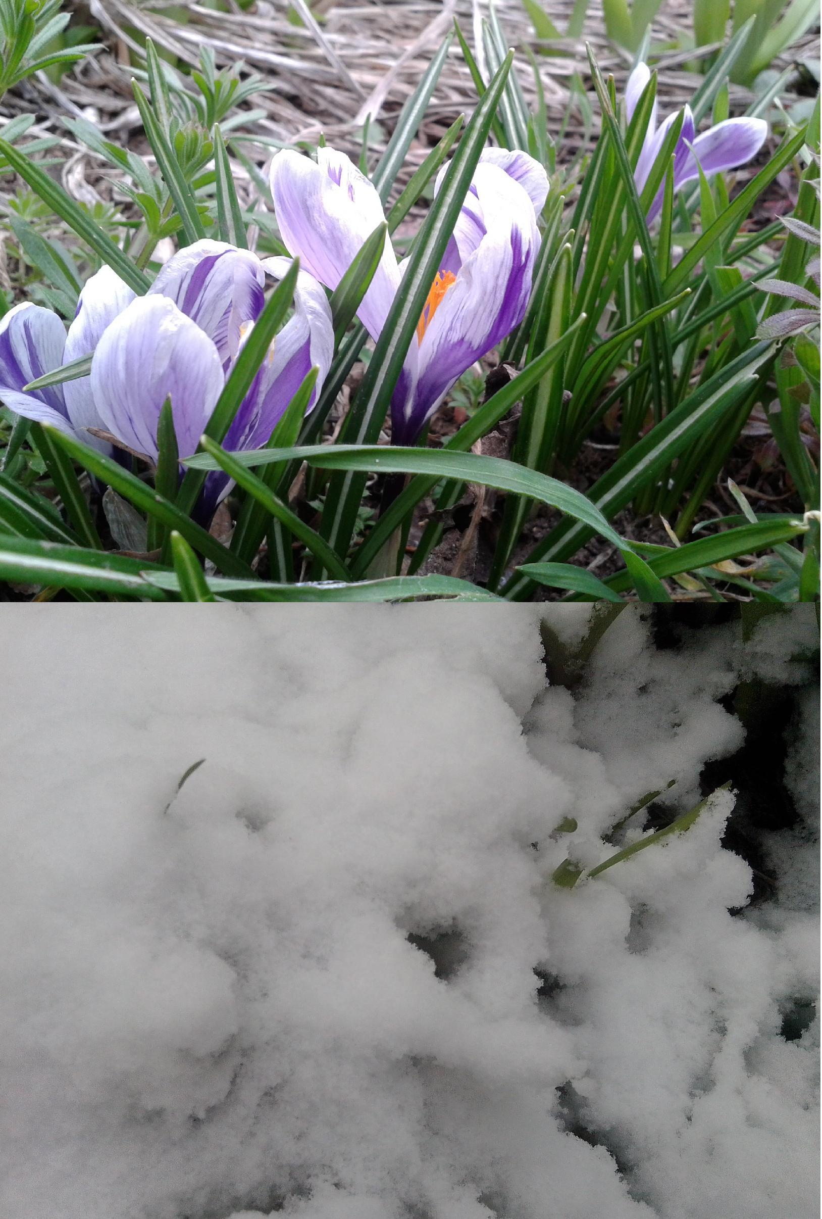 Вчера и сегодня