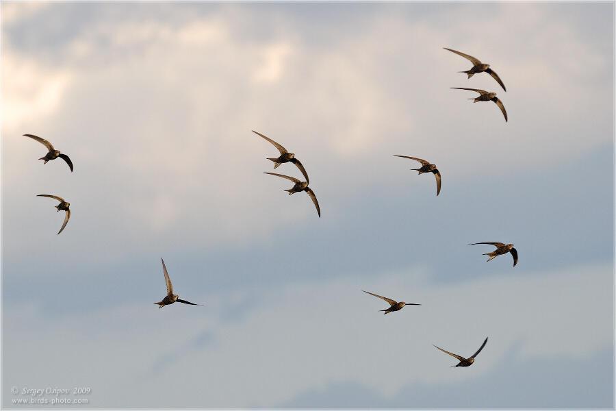 Где-то лето...