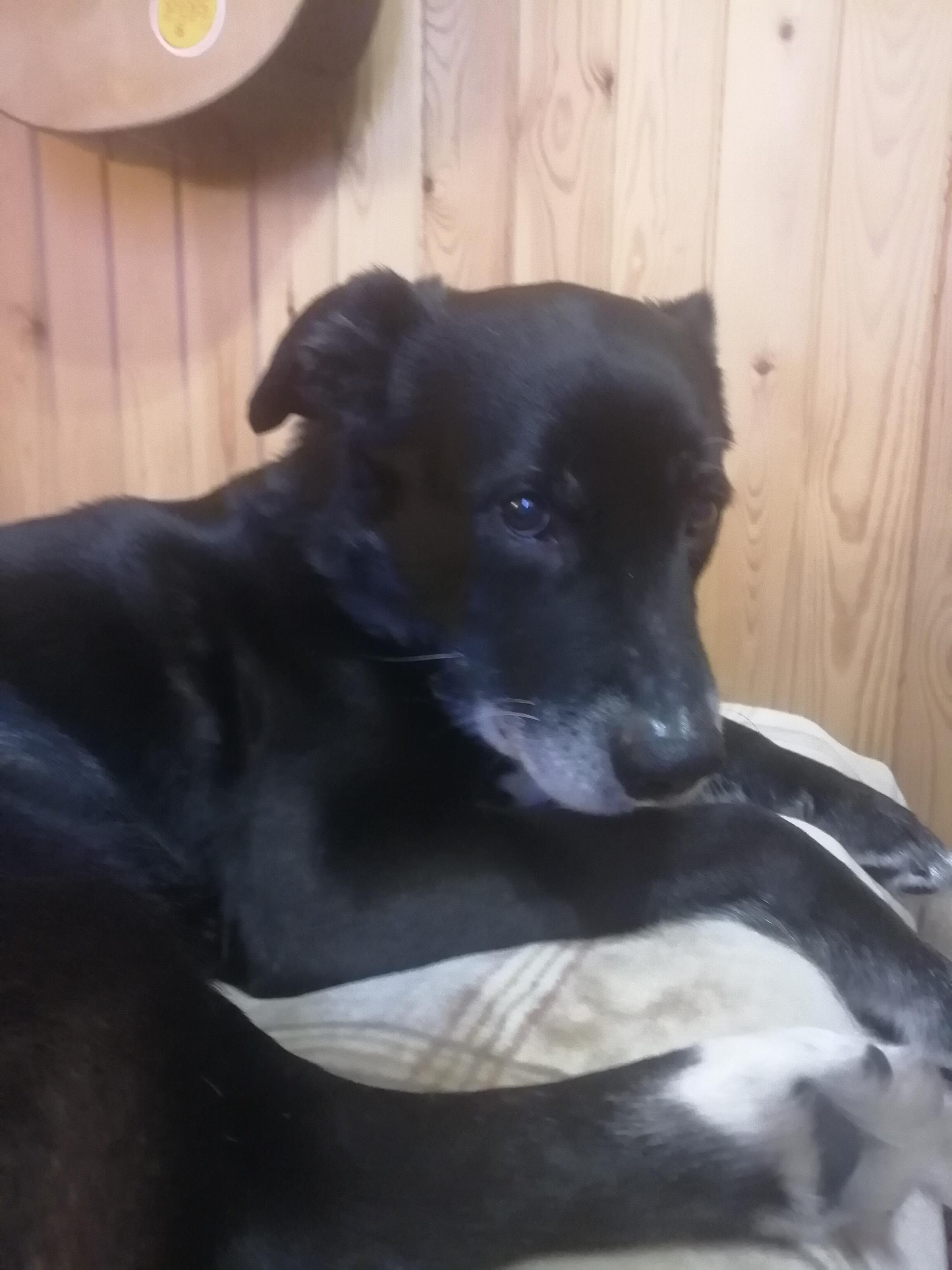 #ПОЧТИКОТИКОФФ