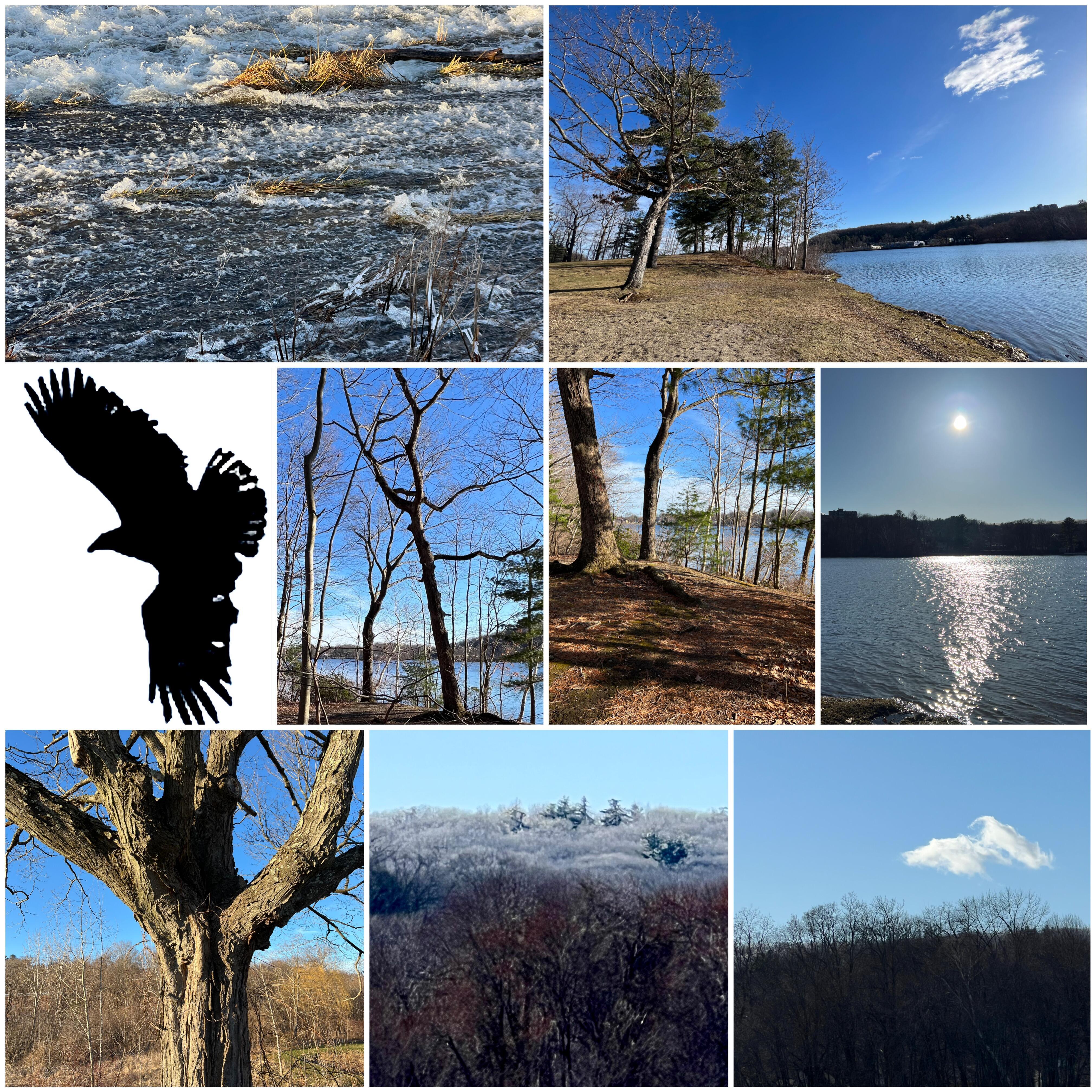 Март кончается, котики нет