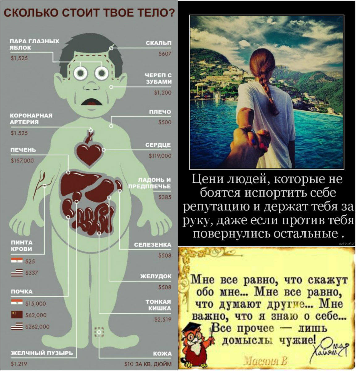 Сколько стоят твои. Сколько стоят органы человека. Сколькотстоят органы человека. Колько сточт органы человека. Скок стоит человек на органы.