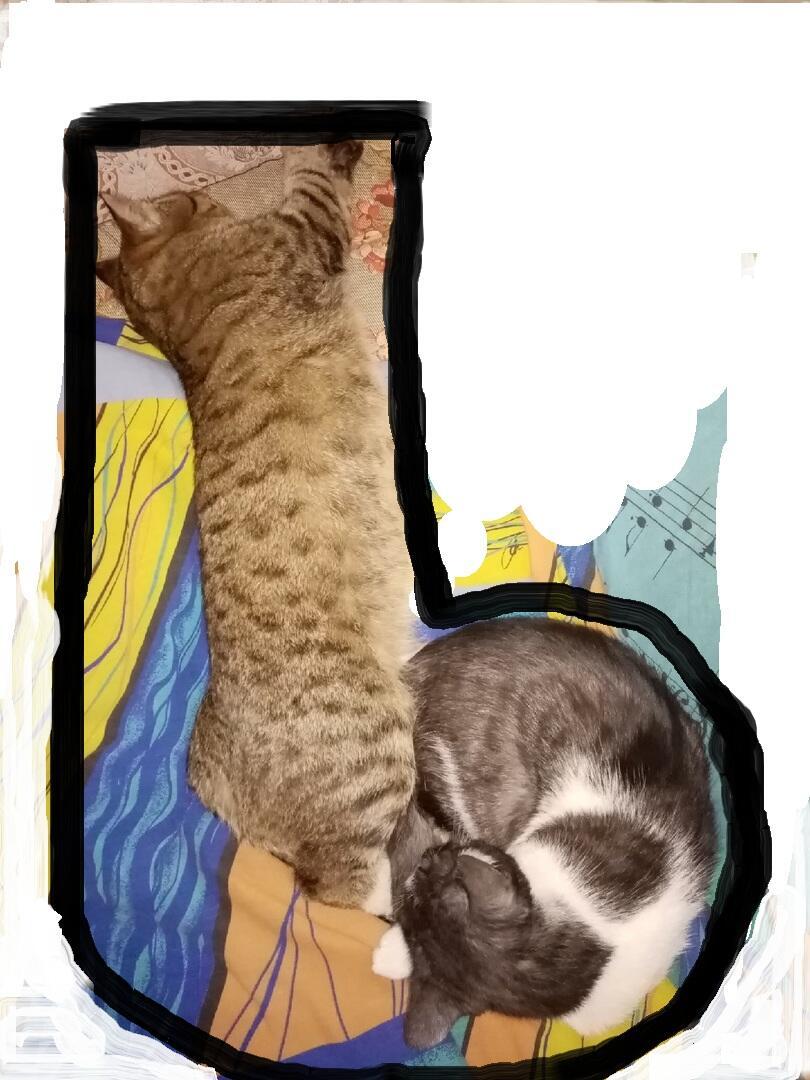 Мягкий знак