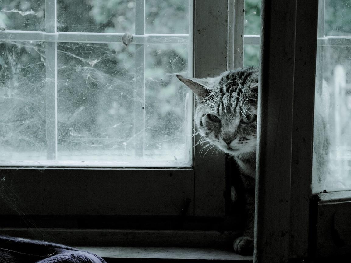 Половинки правды.