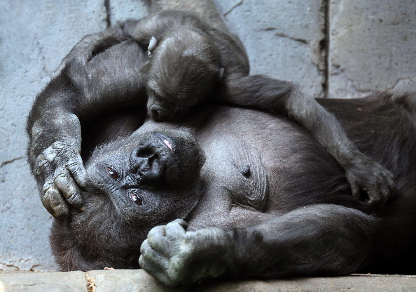 Дописываем по строчке в рифму 3