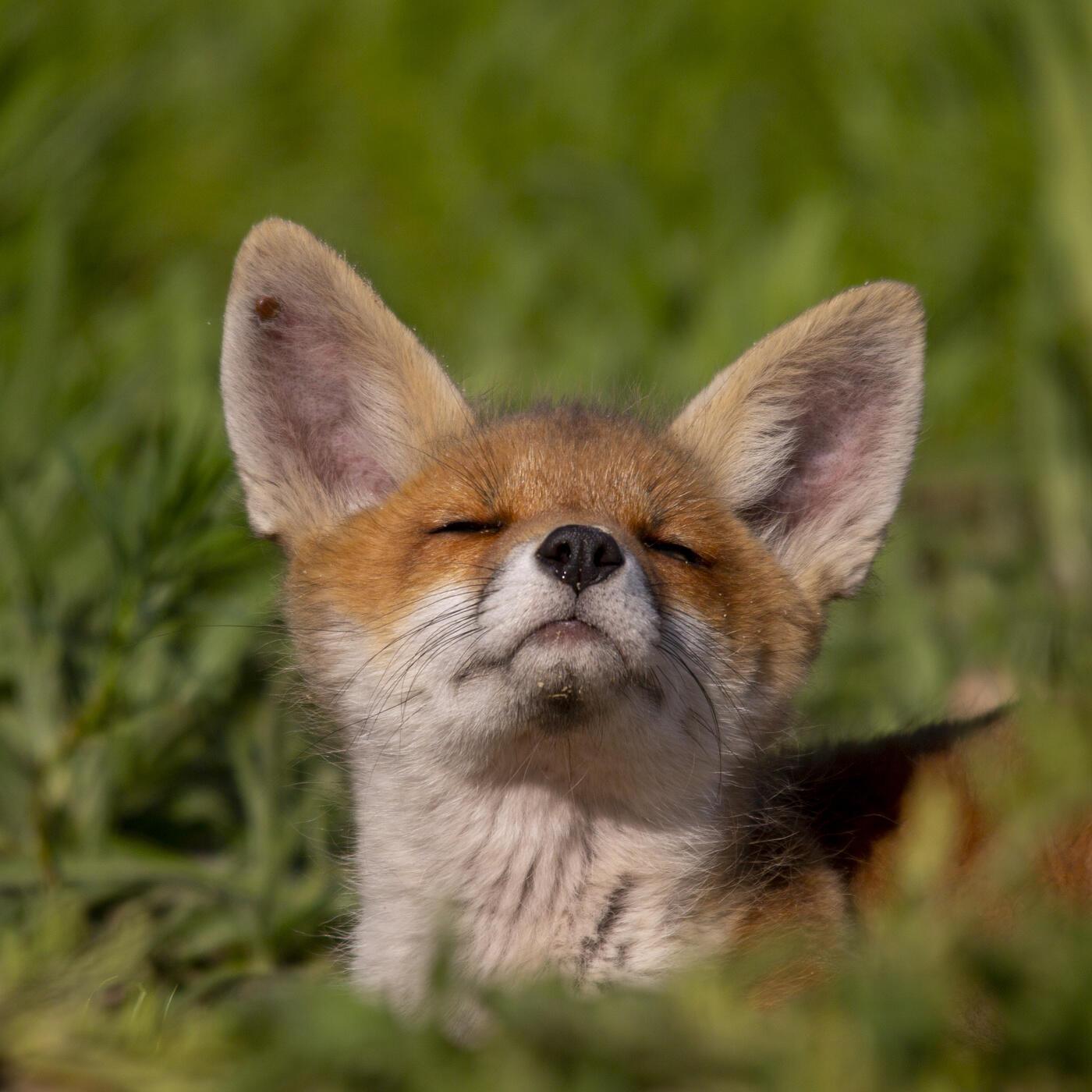 Моя страничка