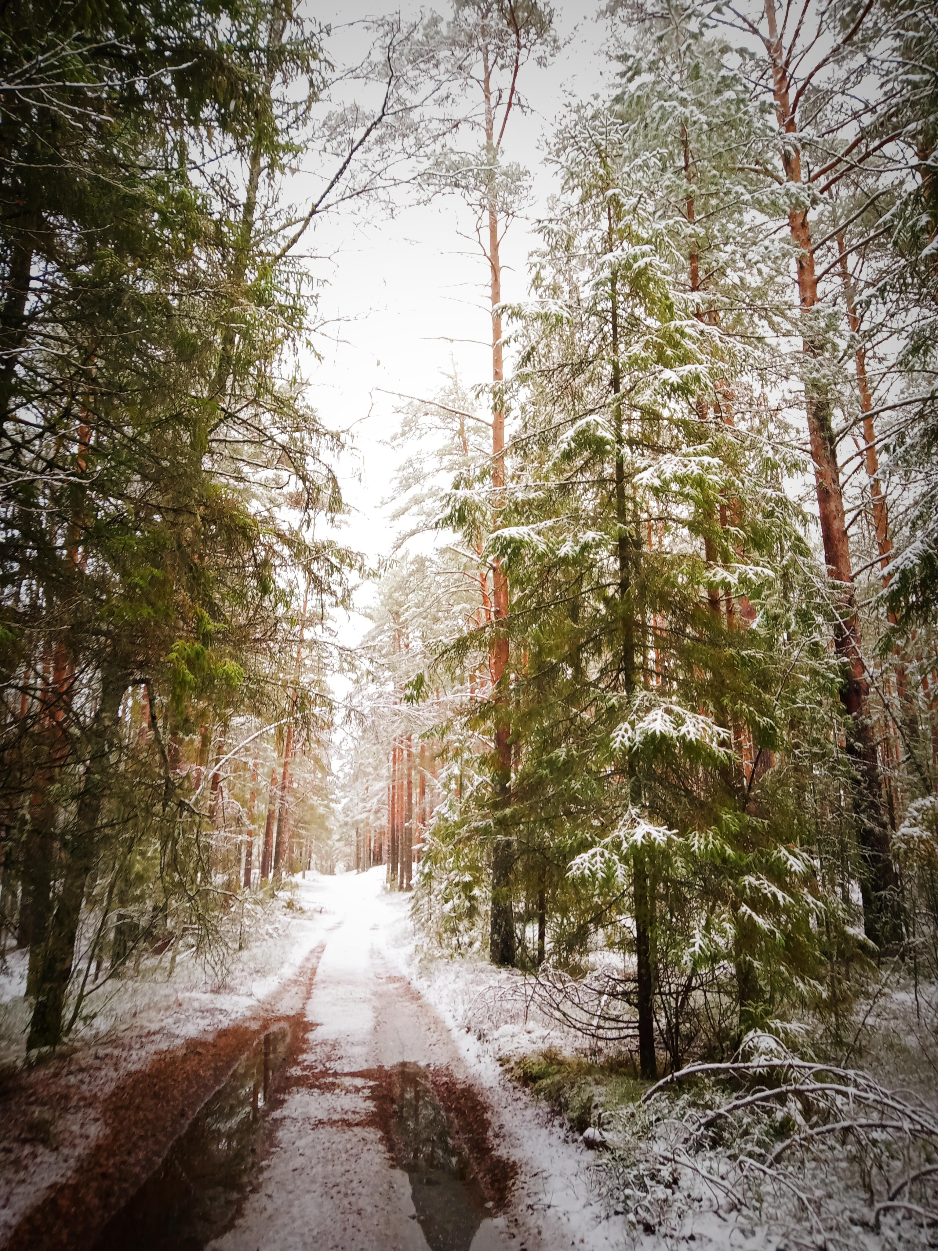 Путь. И смысл только в нём