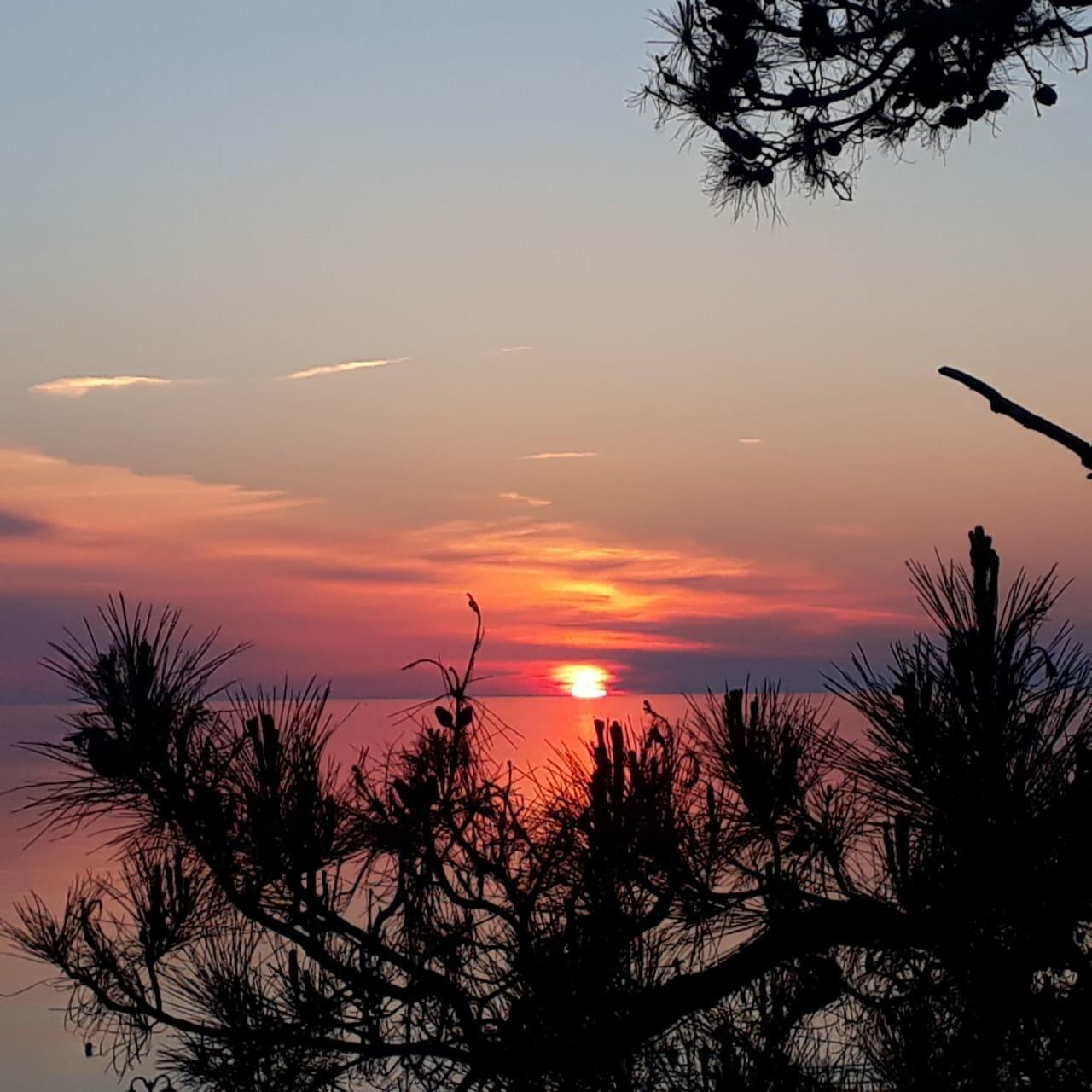 «Академия» - фантастический эксперимент ученого