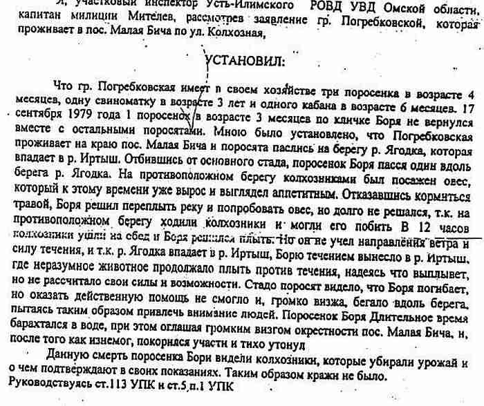 Про поросенка борю. Протокол про поросенка Борю постановление. Рапорт про поросенка Борю. Рапорт участкового про поросенка Борю. Поросенок Боря постановление об отказе.