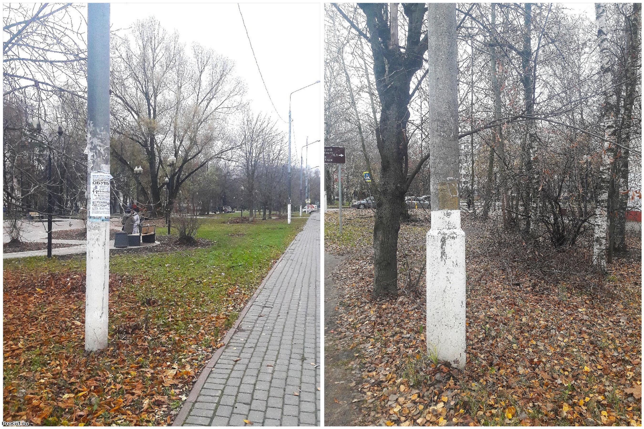 Столбы в гольфах