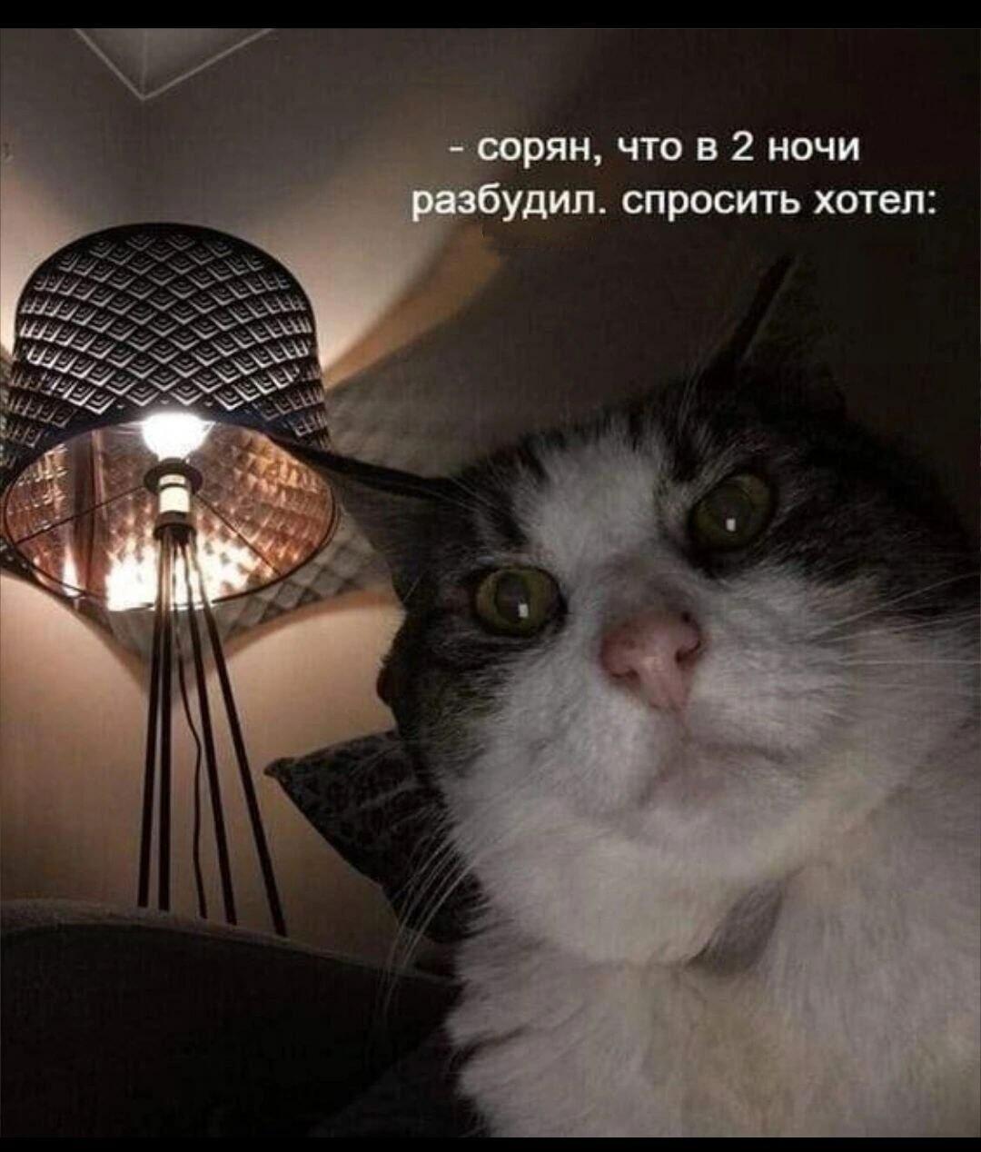 Социологический опрос©