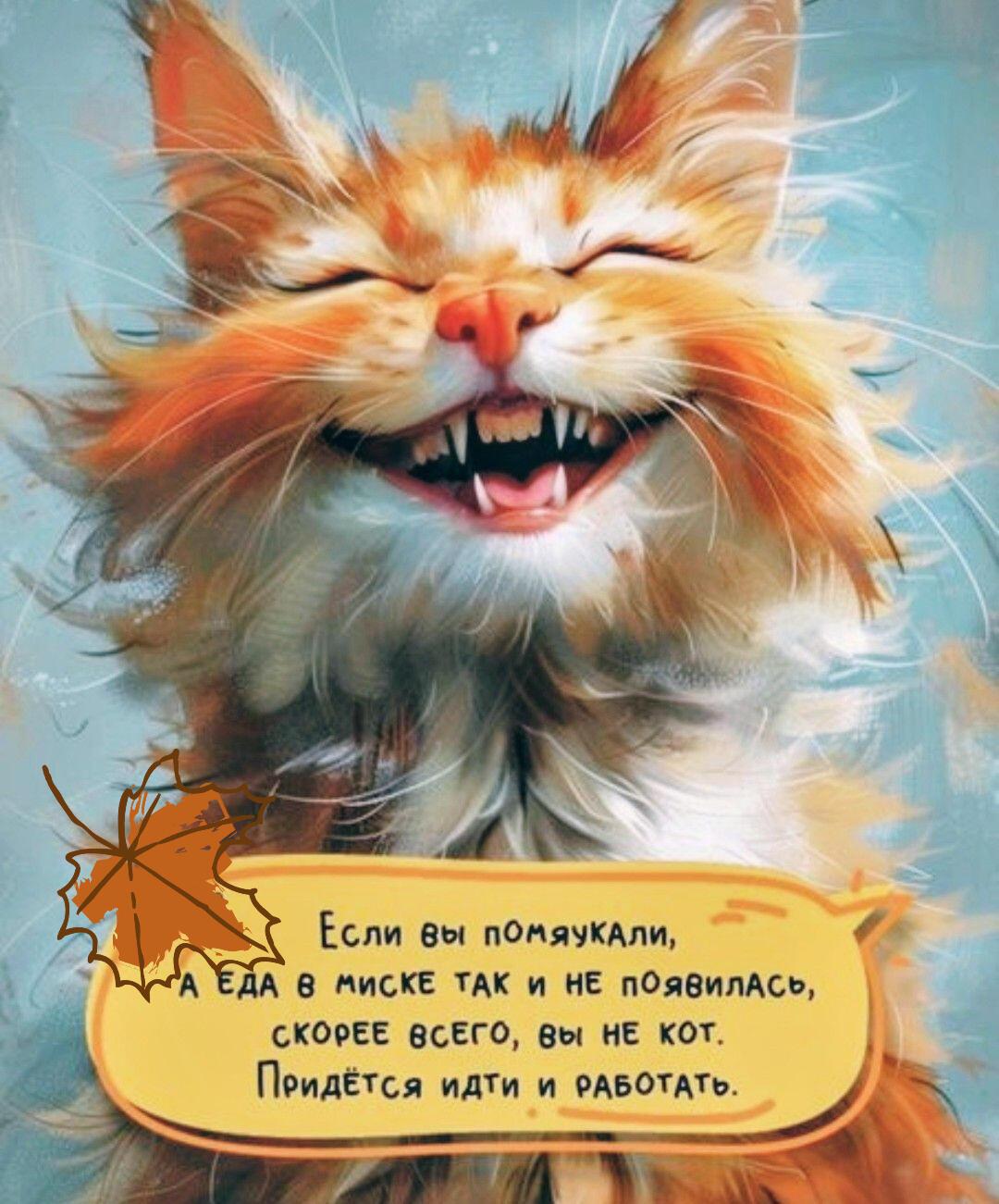 А хорошие новости всё-таки есть ☺☺☺