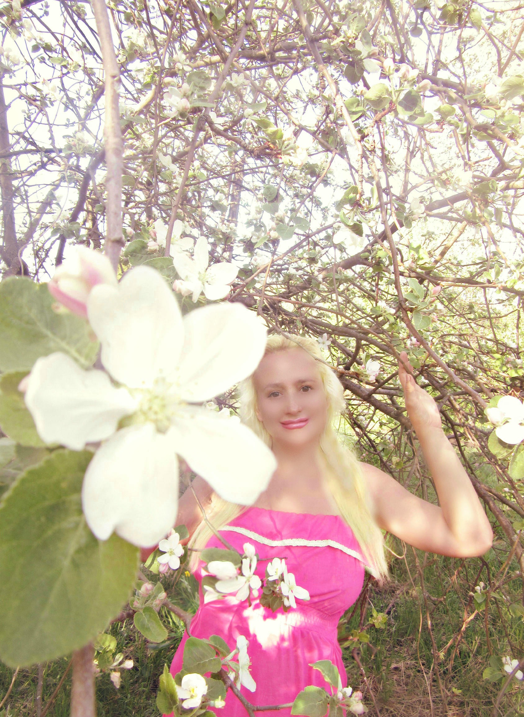 Сады цветут