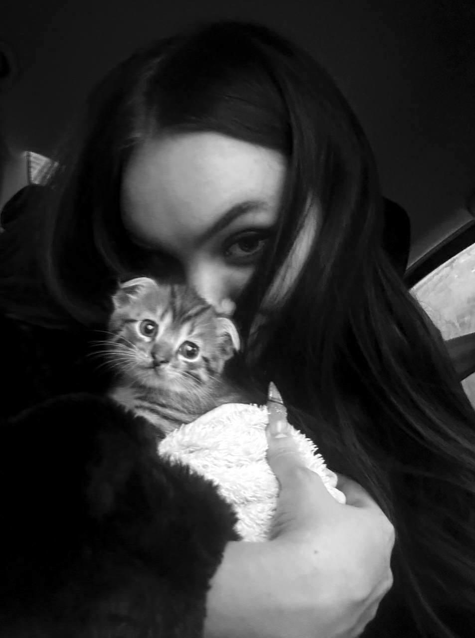 Пропал дом...