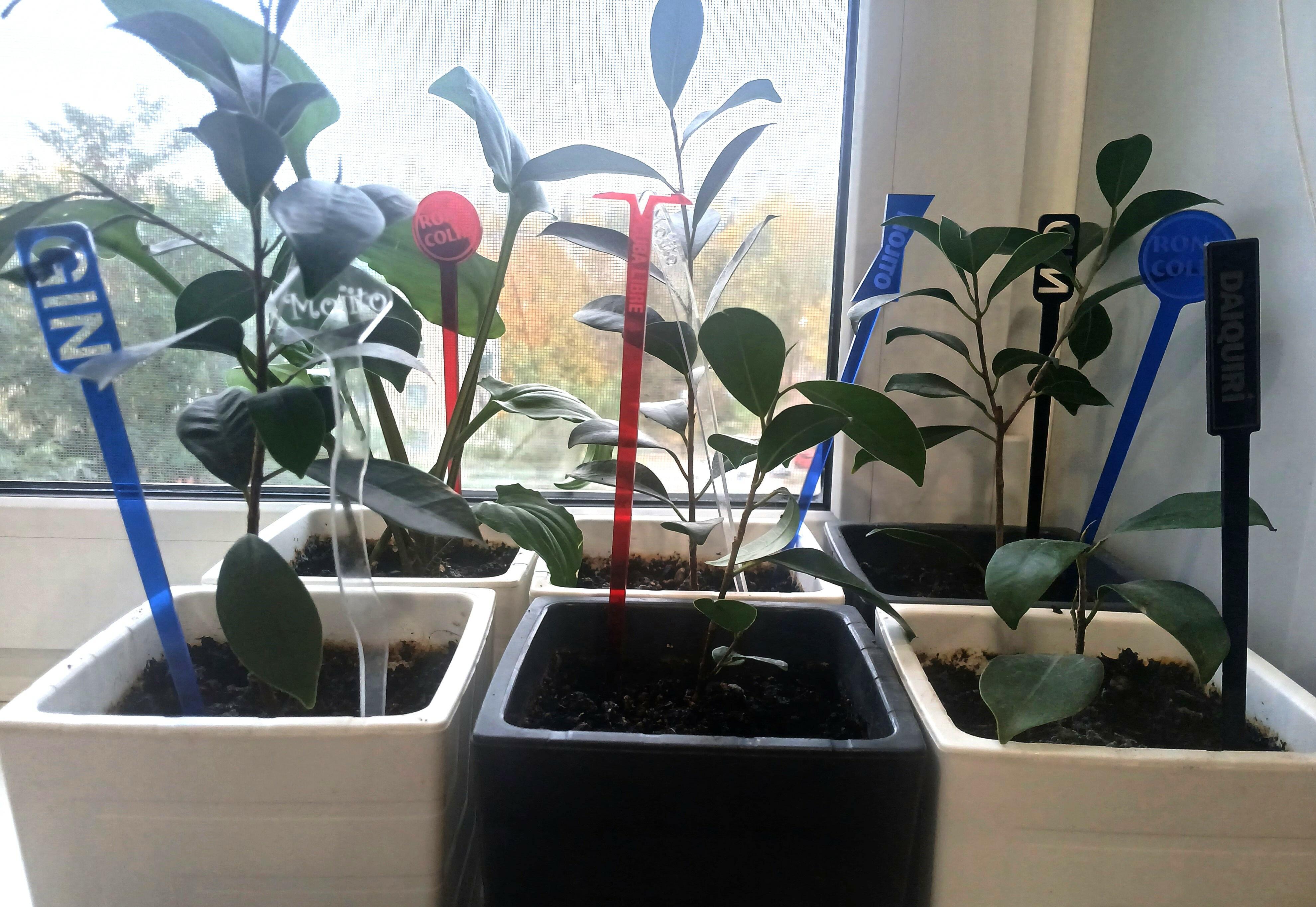 Санкт-Петербург 31.10 - 3.11