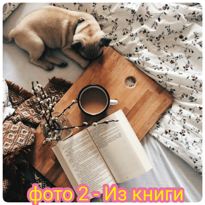 Фото 2 (постель, собака, доска, кофе)