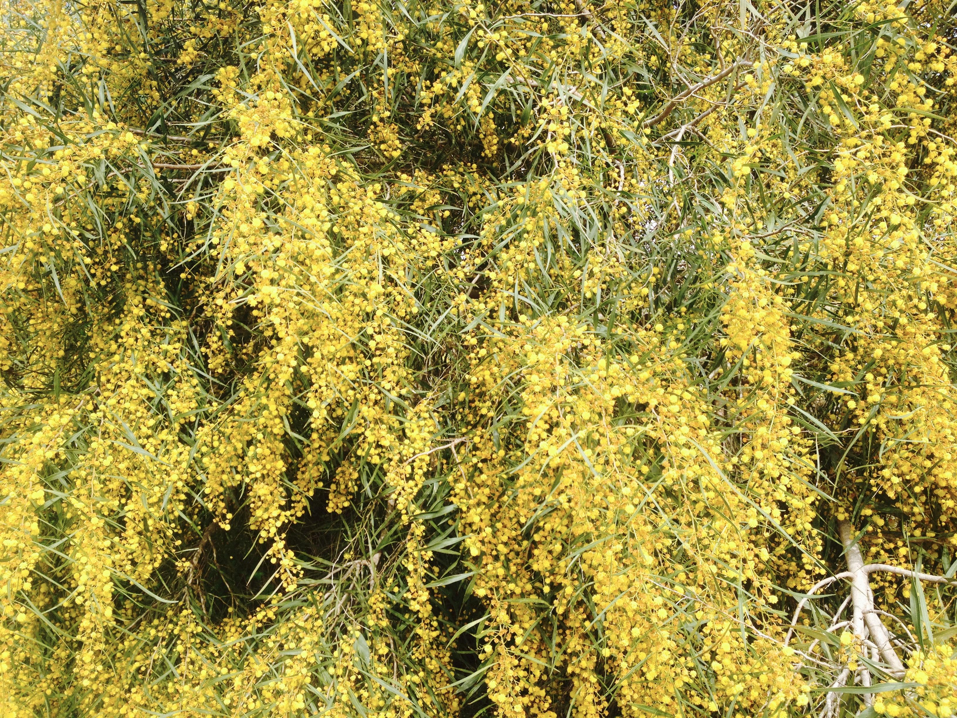 Мы никогда не поймём, что происходит