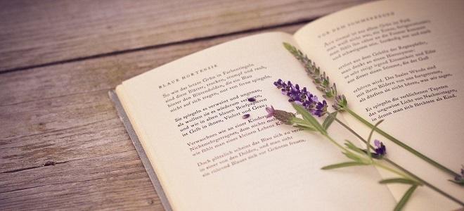 В третий класс с рифмами