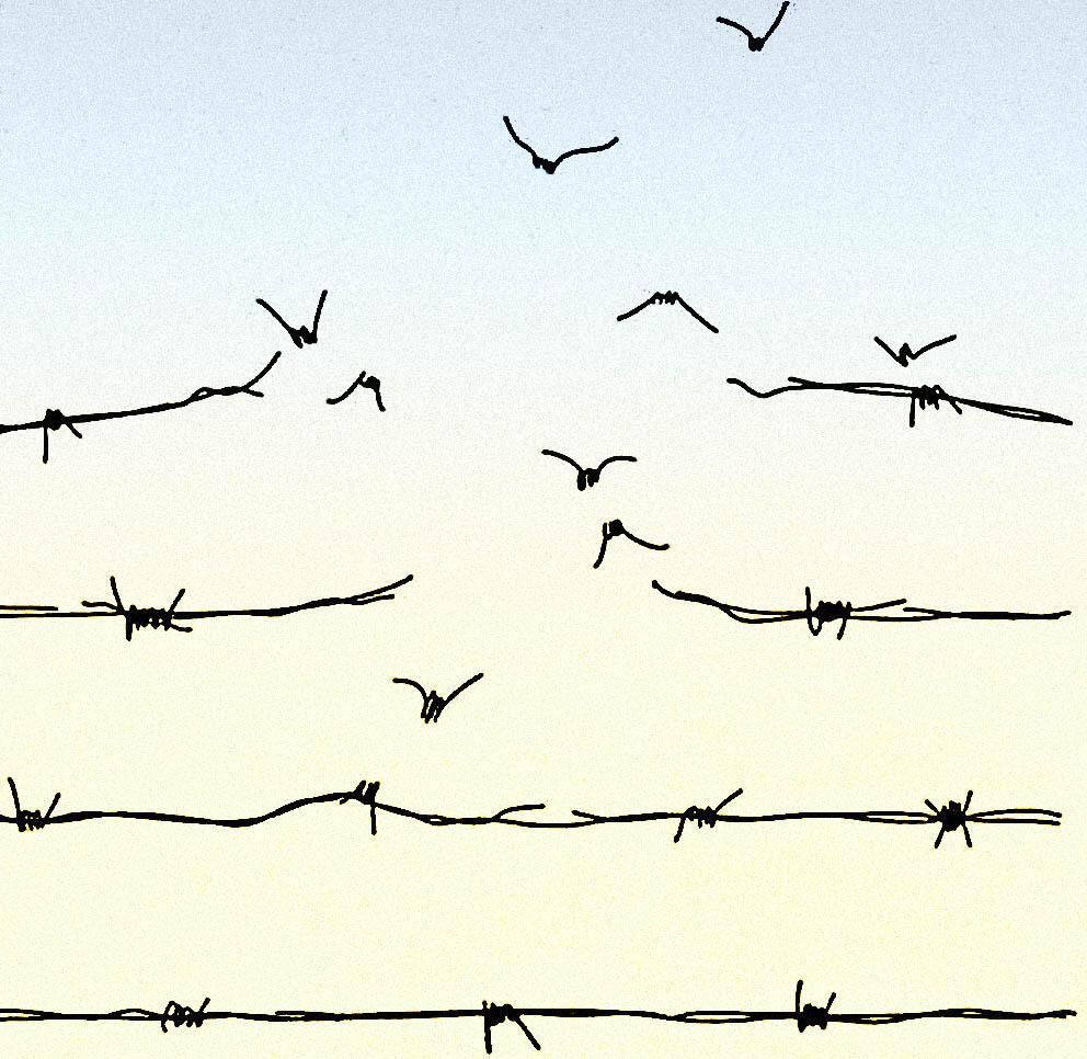 Побег из дурдома