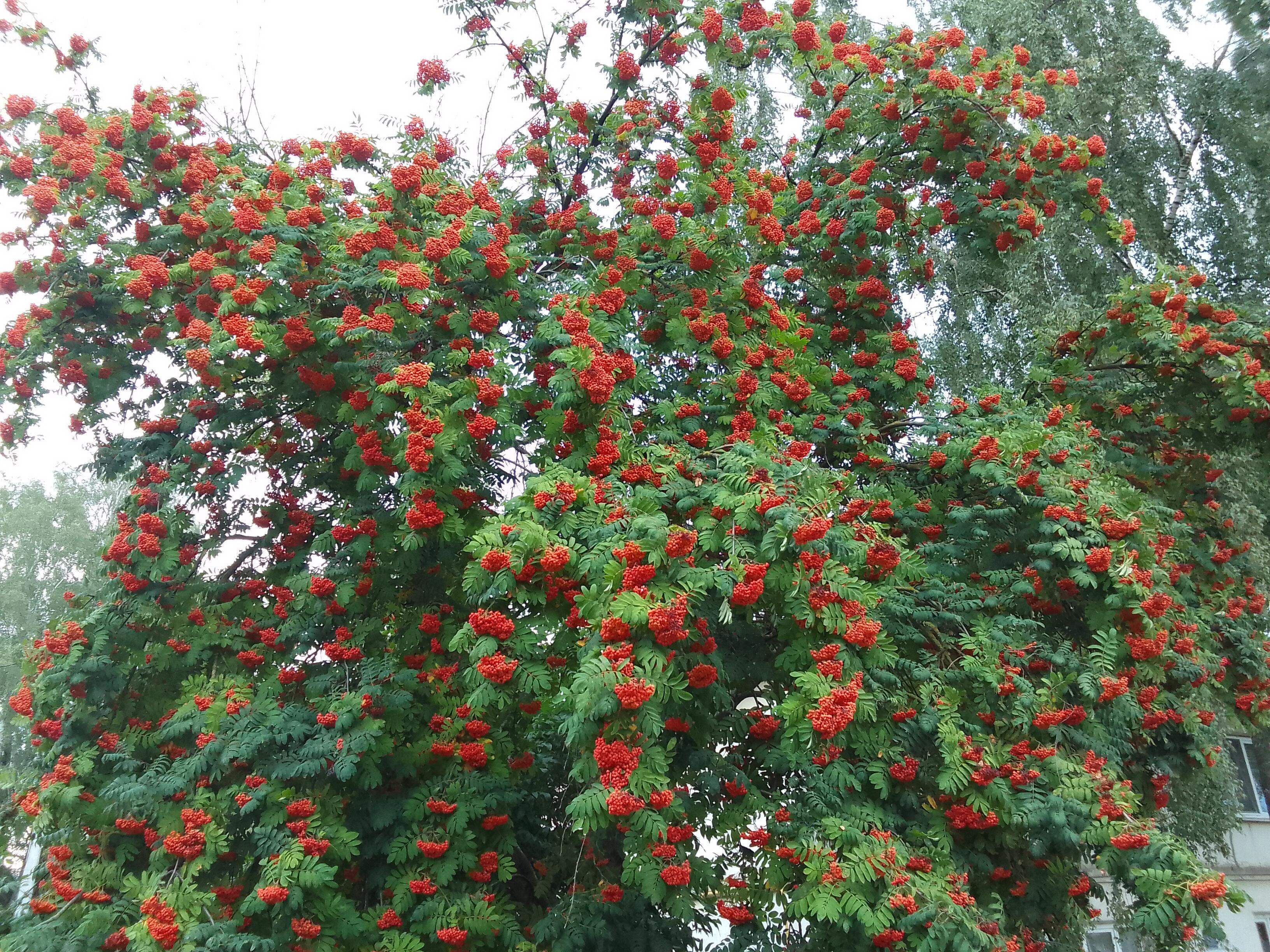 Народные приметы