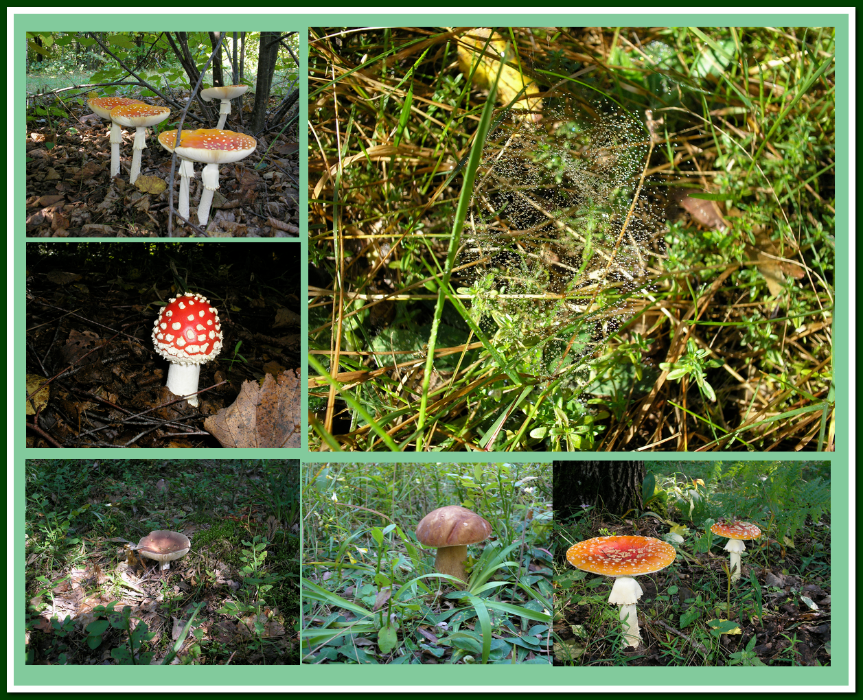 Выходные впечатления