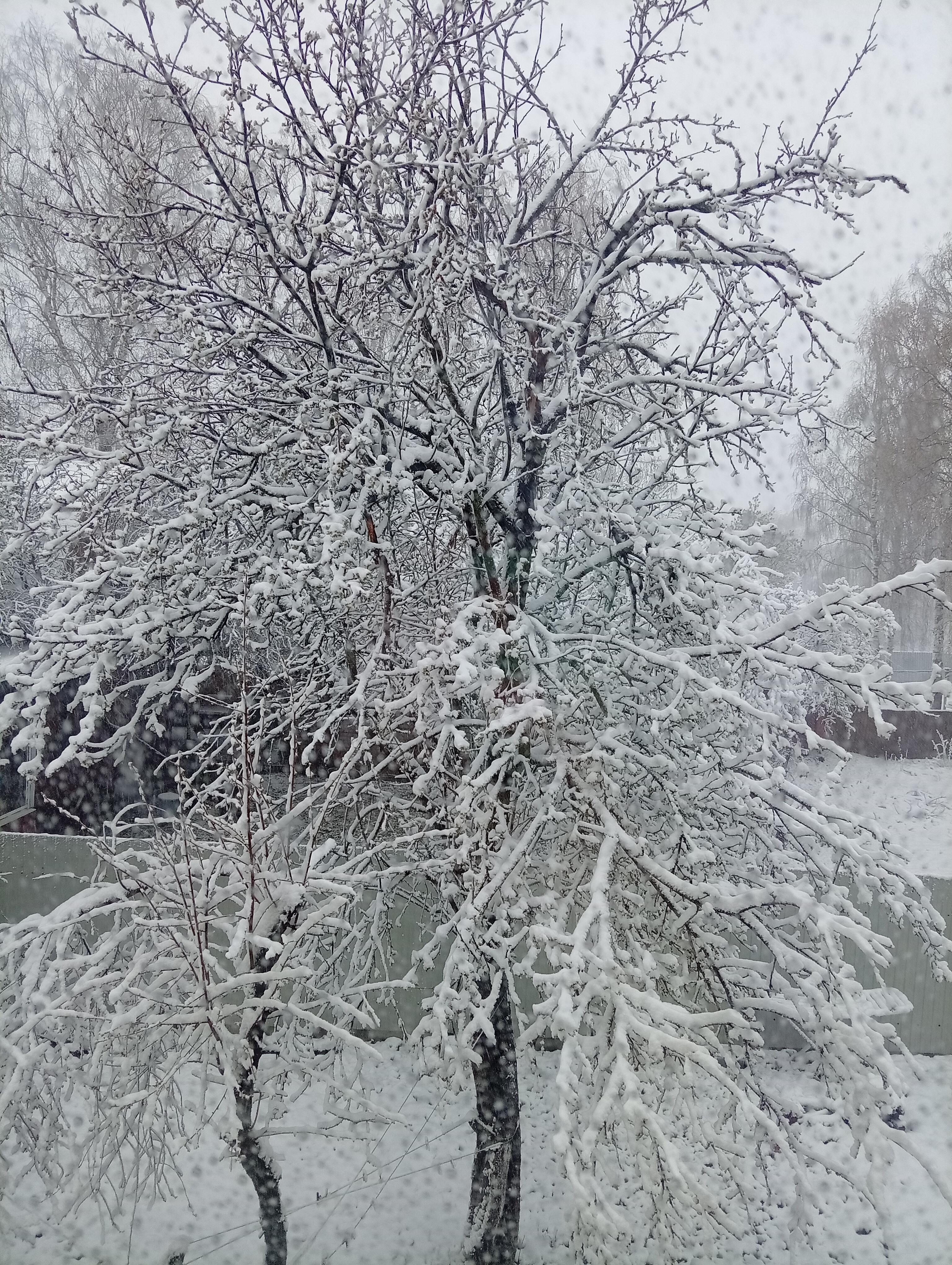 А у нас зима)).
