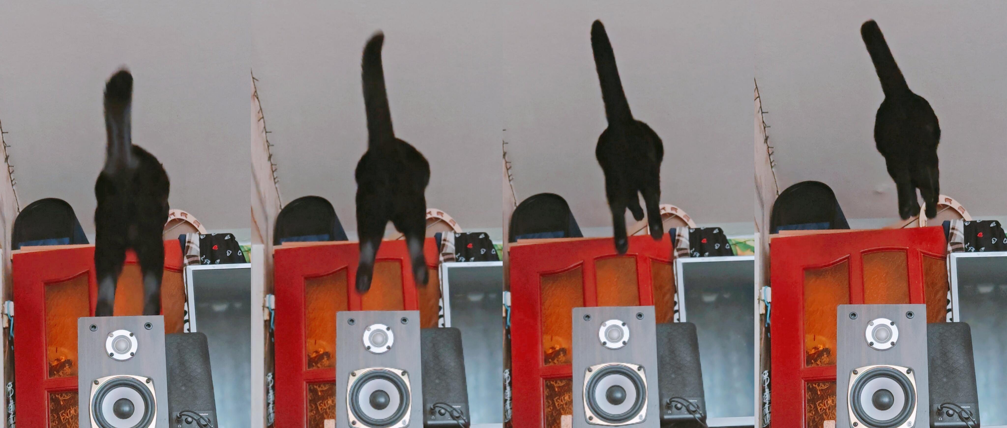 О летающих "британцах"