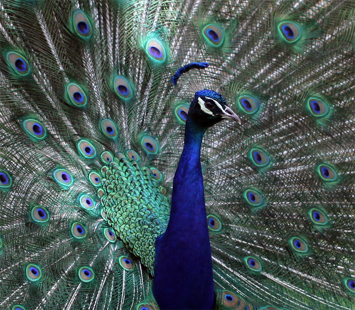 Но не так уж все безнадежно...