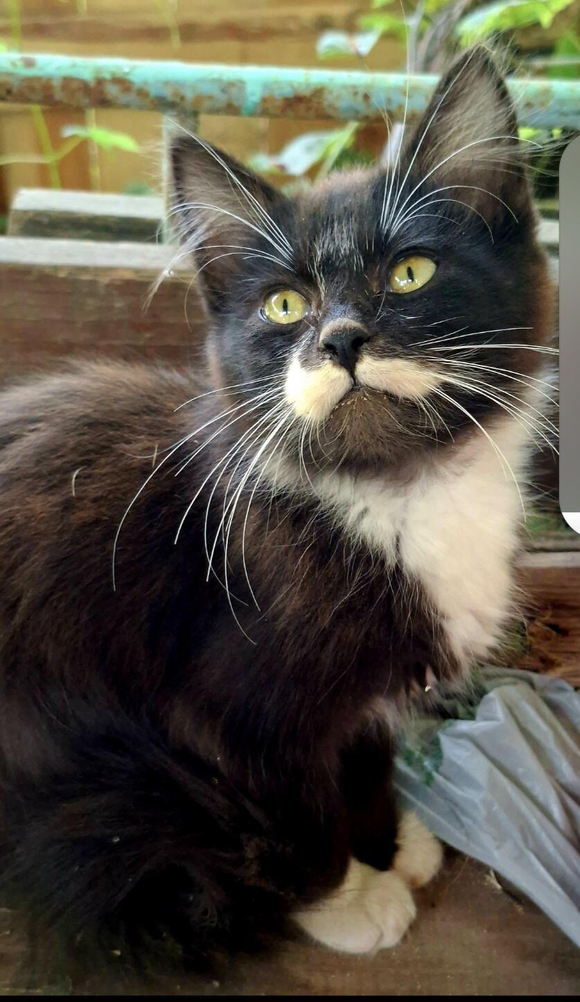 Люди, мы же не звери!