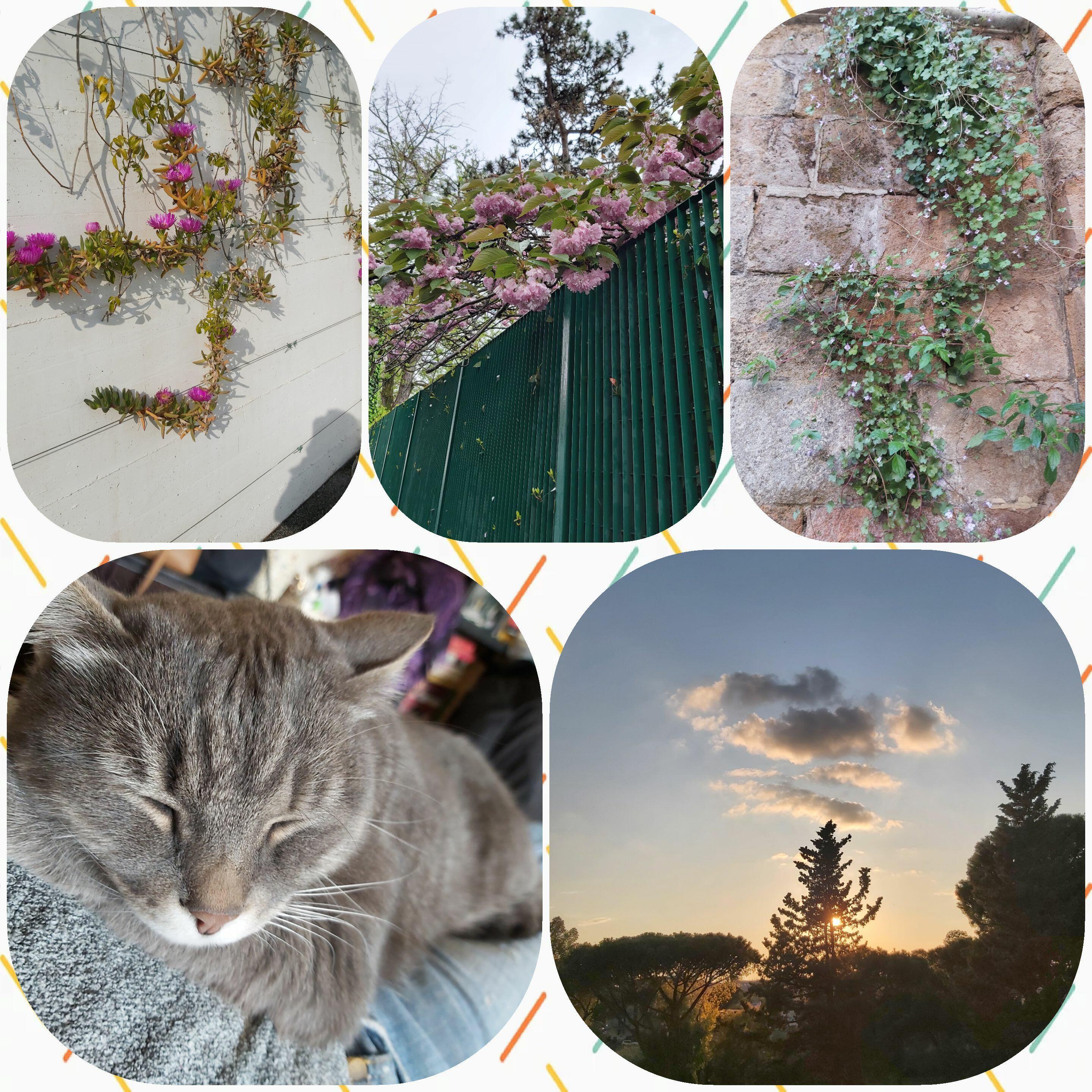 #о жизни и...