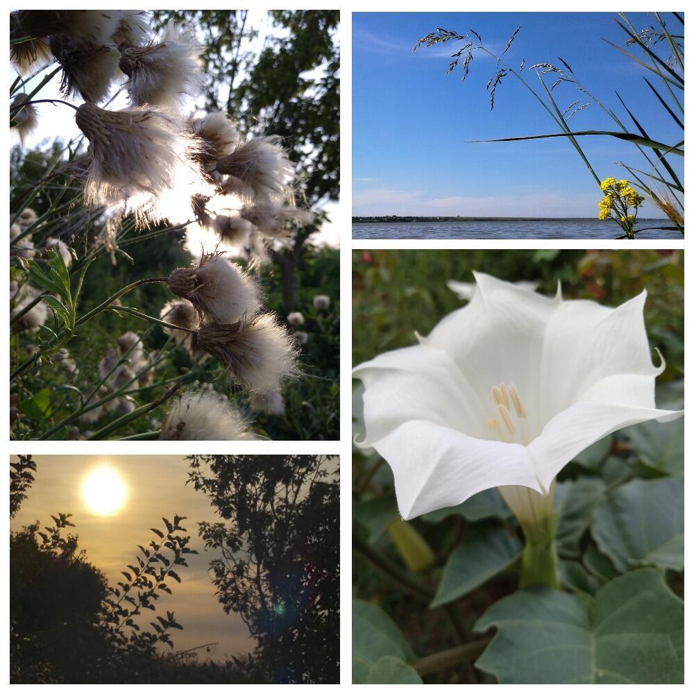 Земная неземная