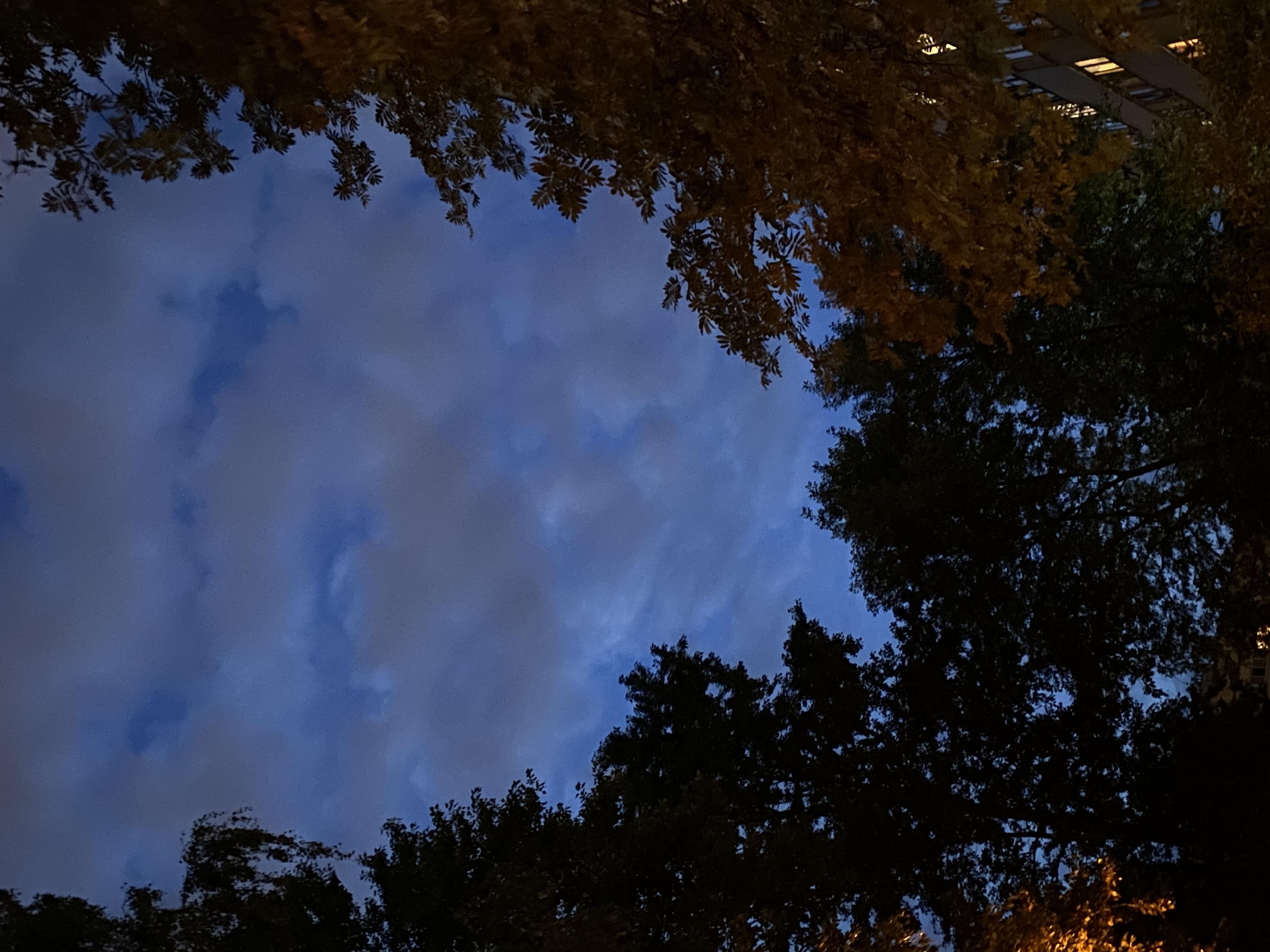 dark dreams of the weeping willow