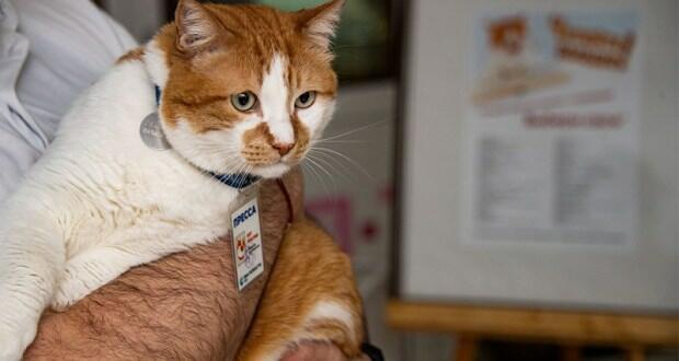 ФОТОВЫСТАВКА В КРЫМУ.