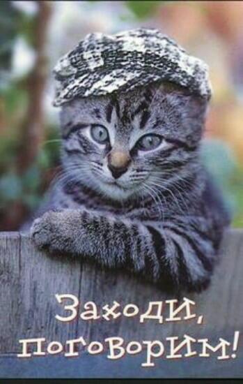 Есть вопрос...