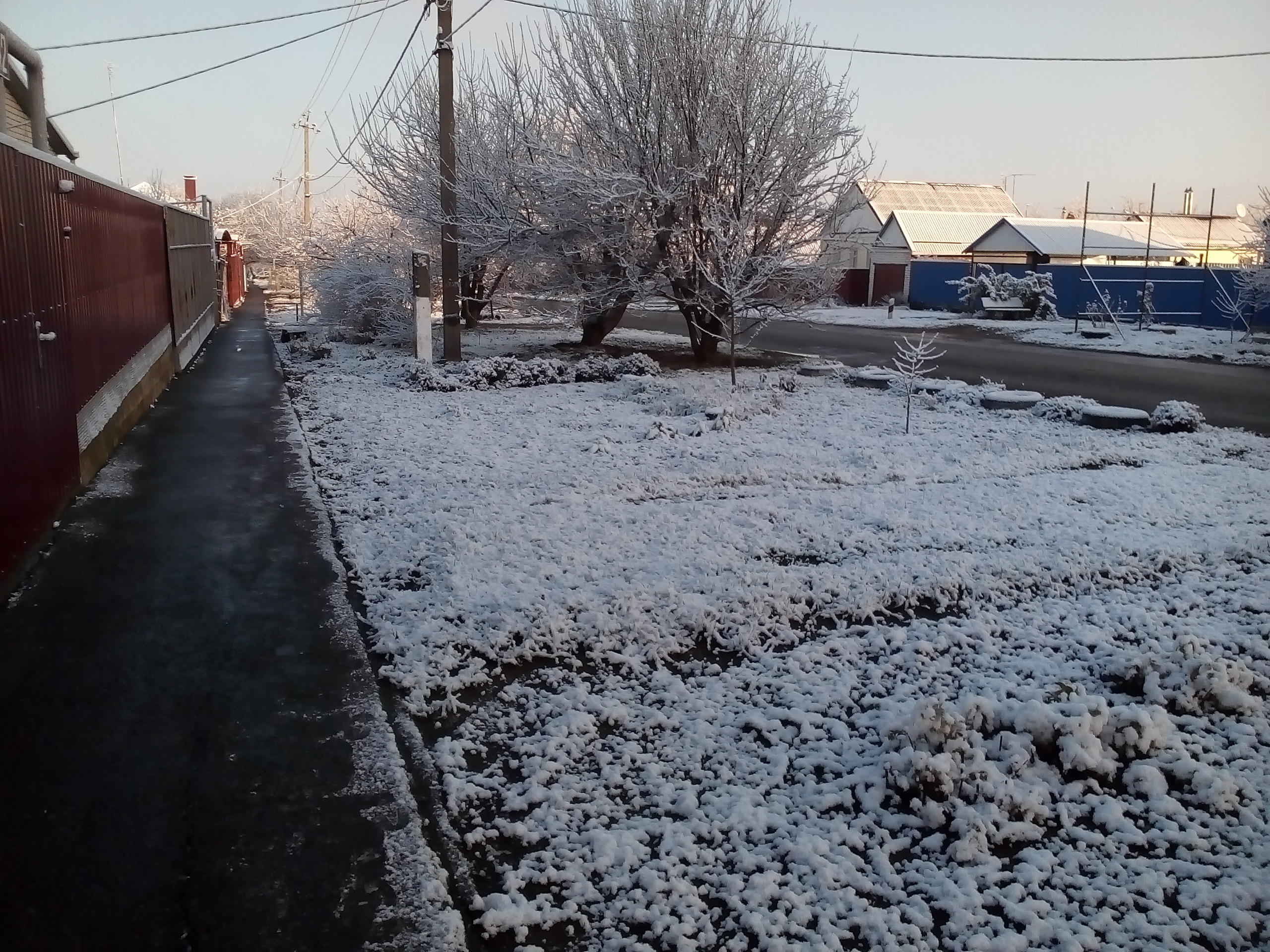 Россия выпал снег. Тарасовский район снег выпал.