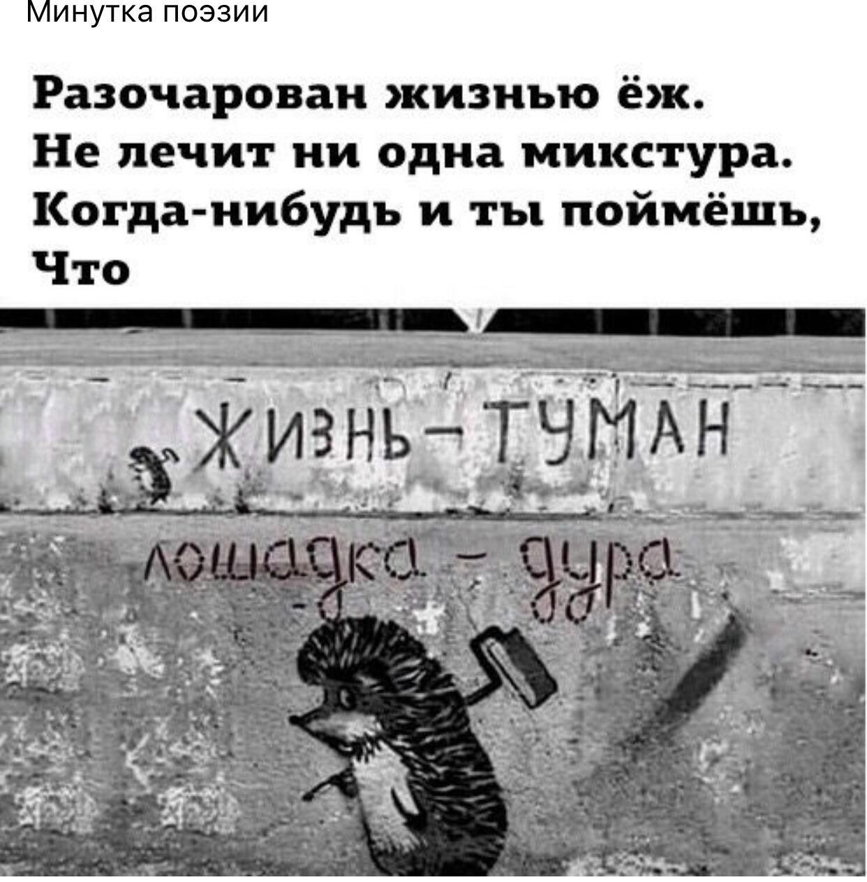 Даша дура картинка