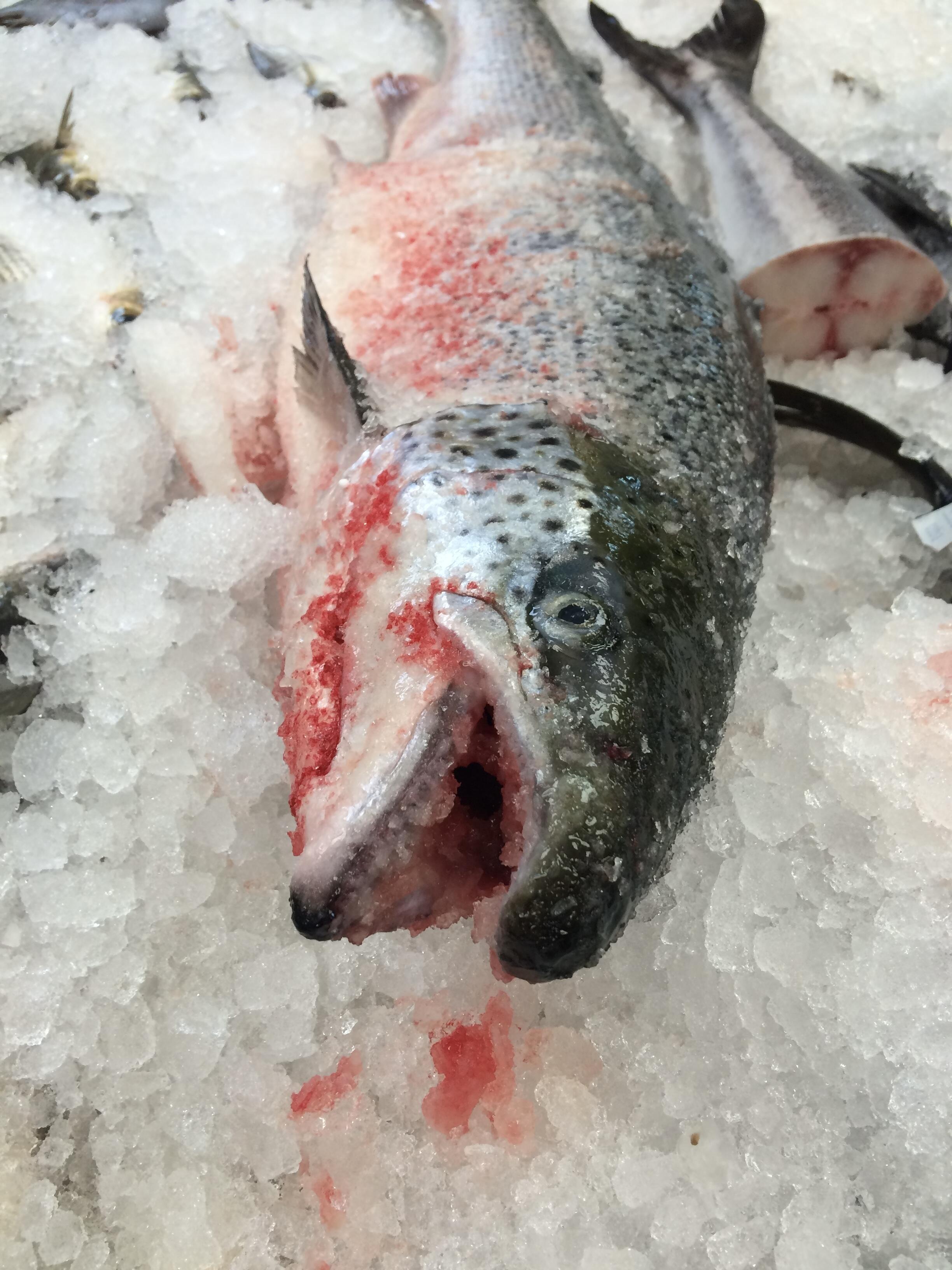 Прошу нервных покинуть зал (с)