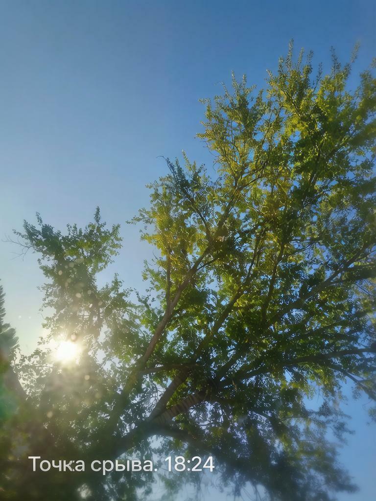 Точка срыва