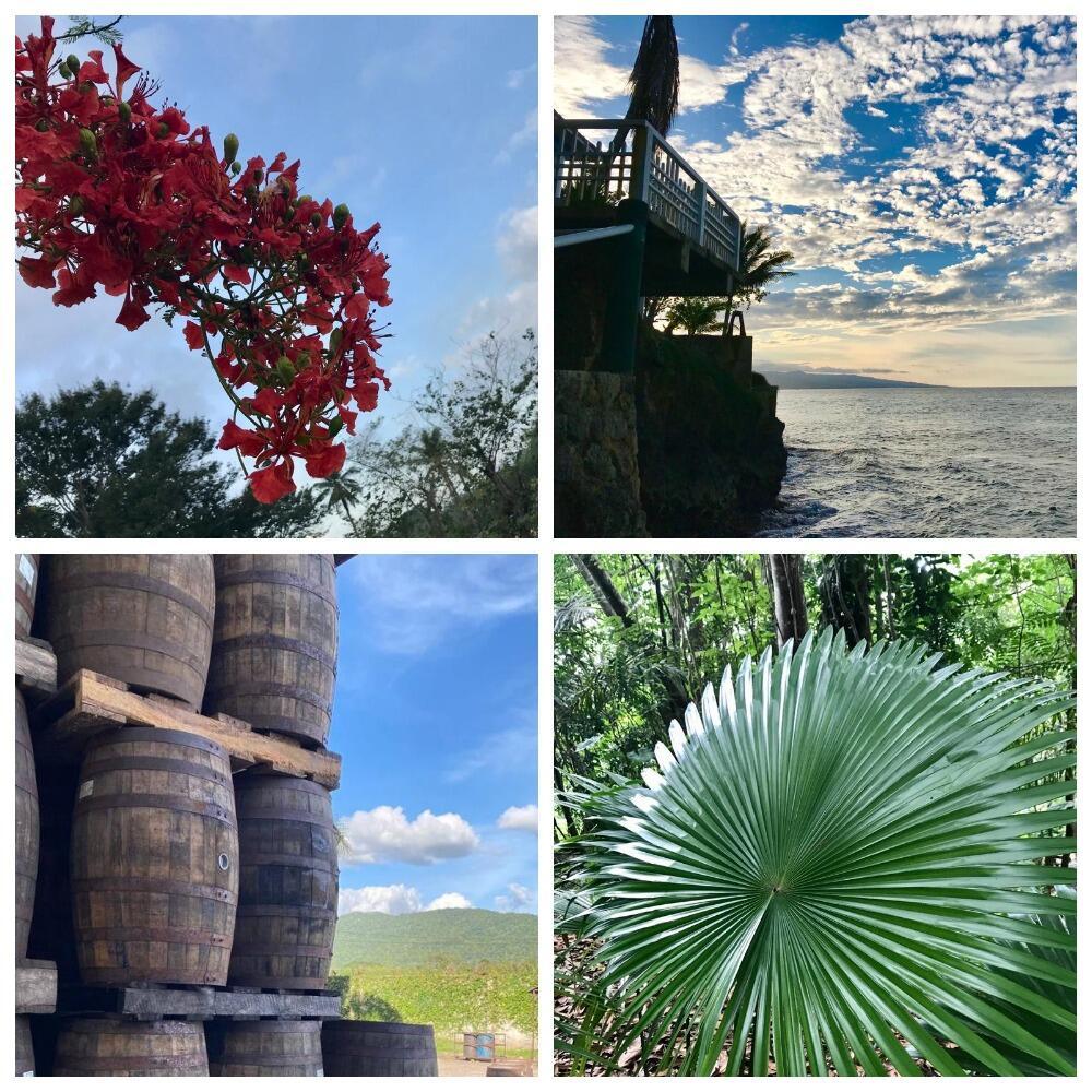 ЯМАЙСКИЕ ЗАРИСОВКИ (ОТРЫВКИ ИЗ ПИСЕМ РАЗНЫМ ЛЮДЯМ) 17