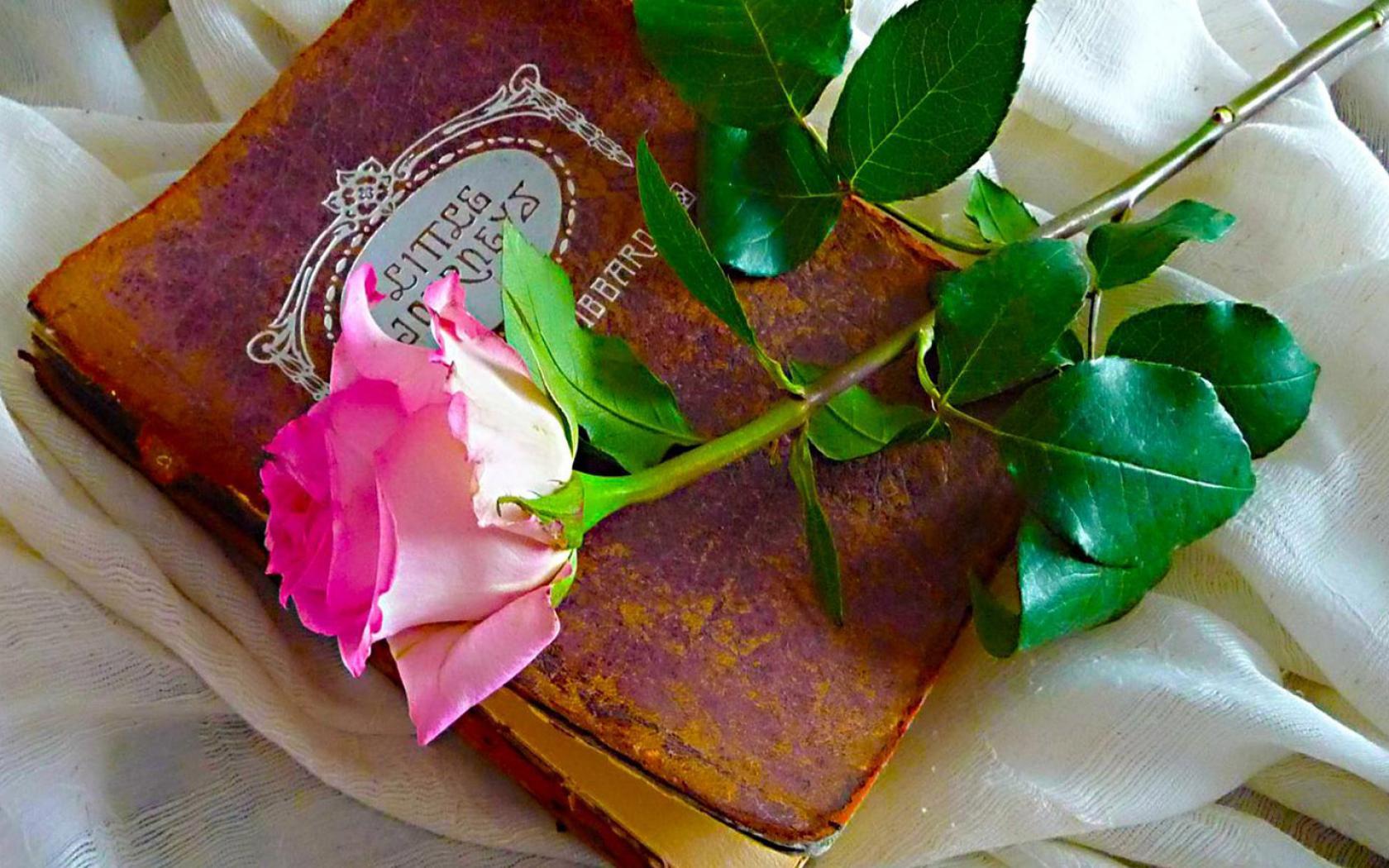 Культура и ценности.(наследники.).