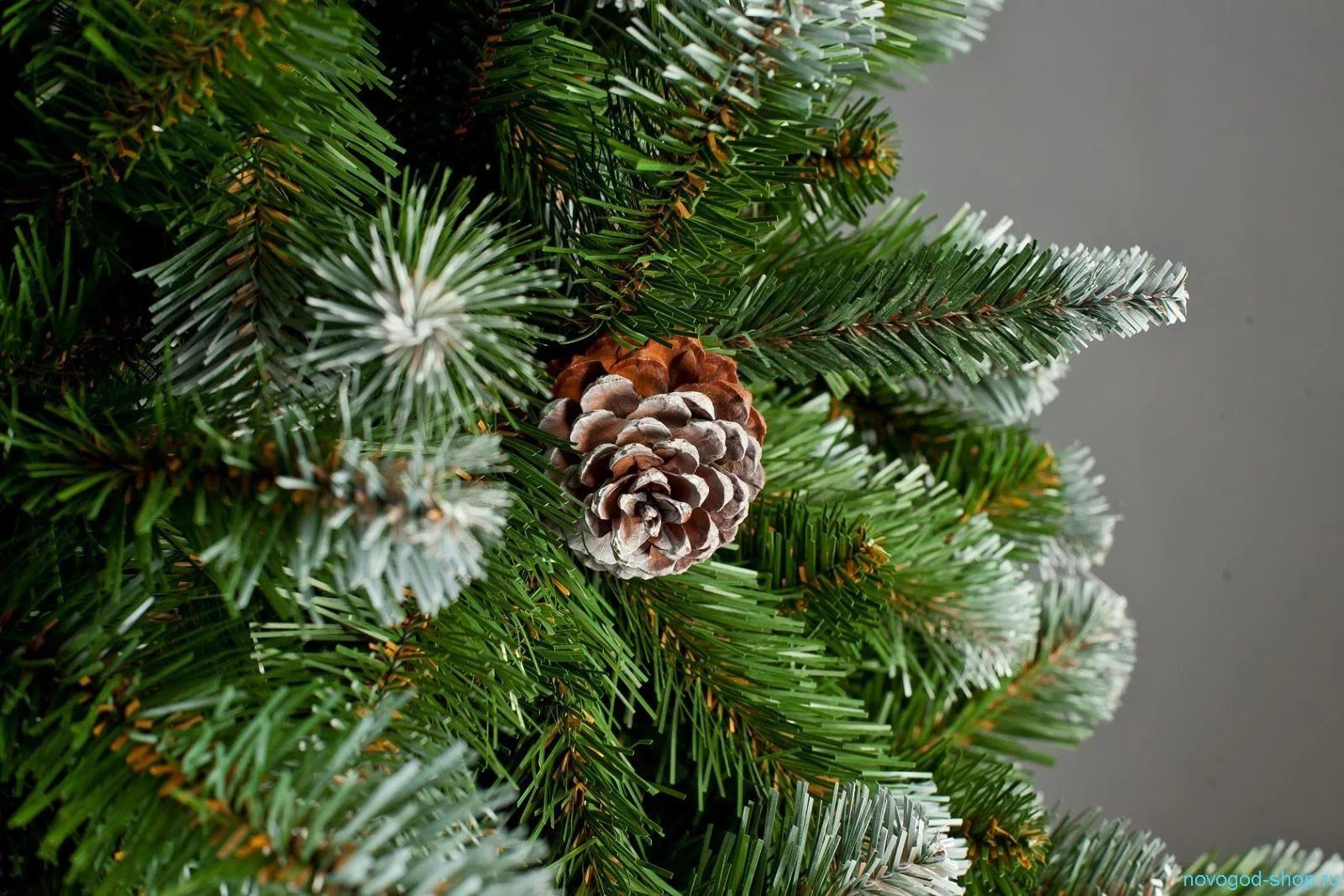 НЕМНОГО О ВЫРУБАЮЩИХСЯ НОВОГОДНИХ ЕЛЯХ