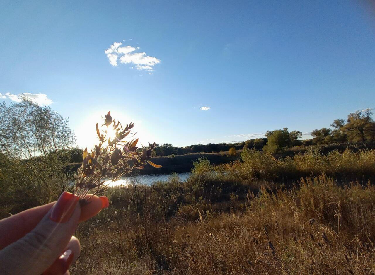 #АроматРодины